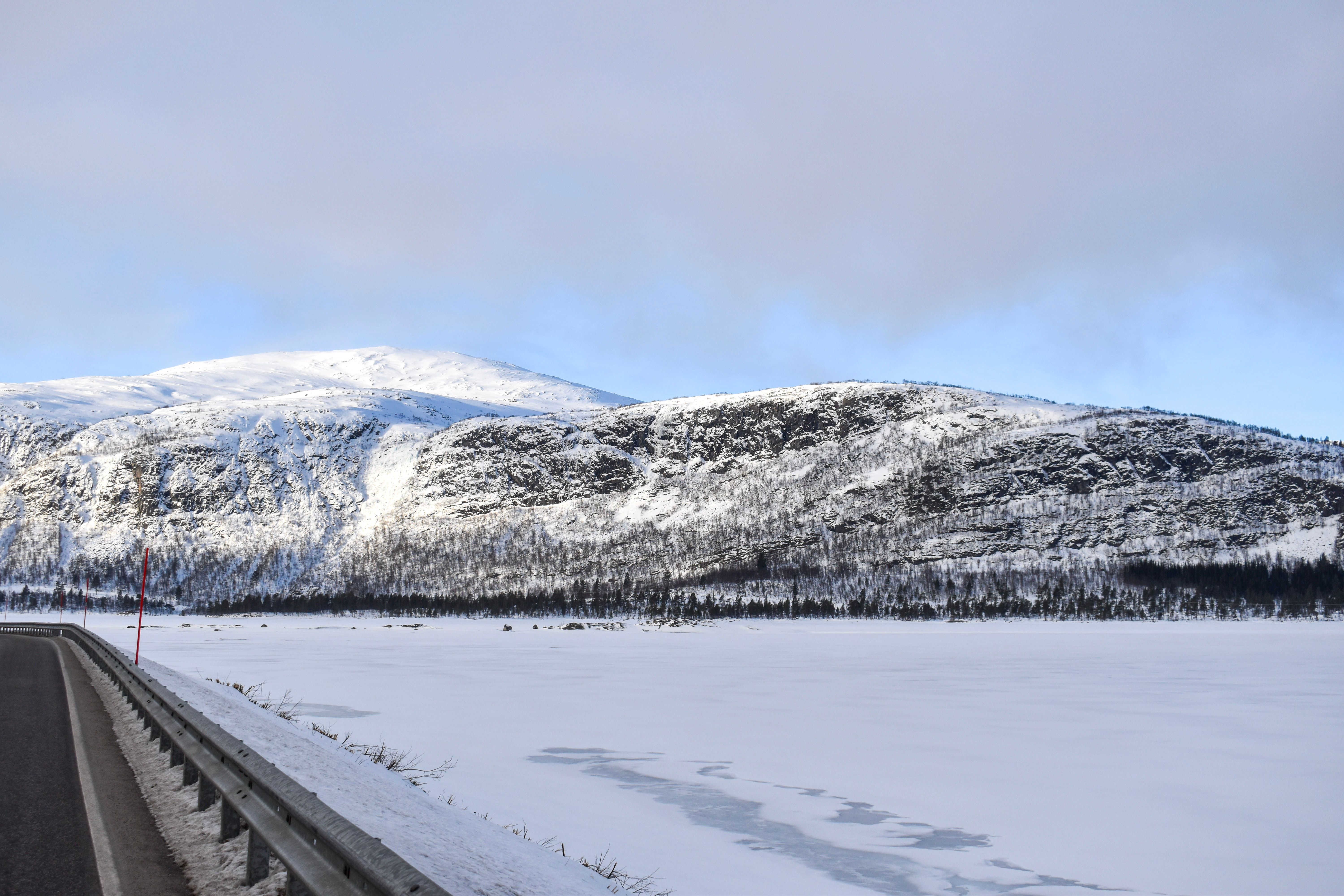 Skal gjere bygda fin til våren - setesdolen.no