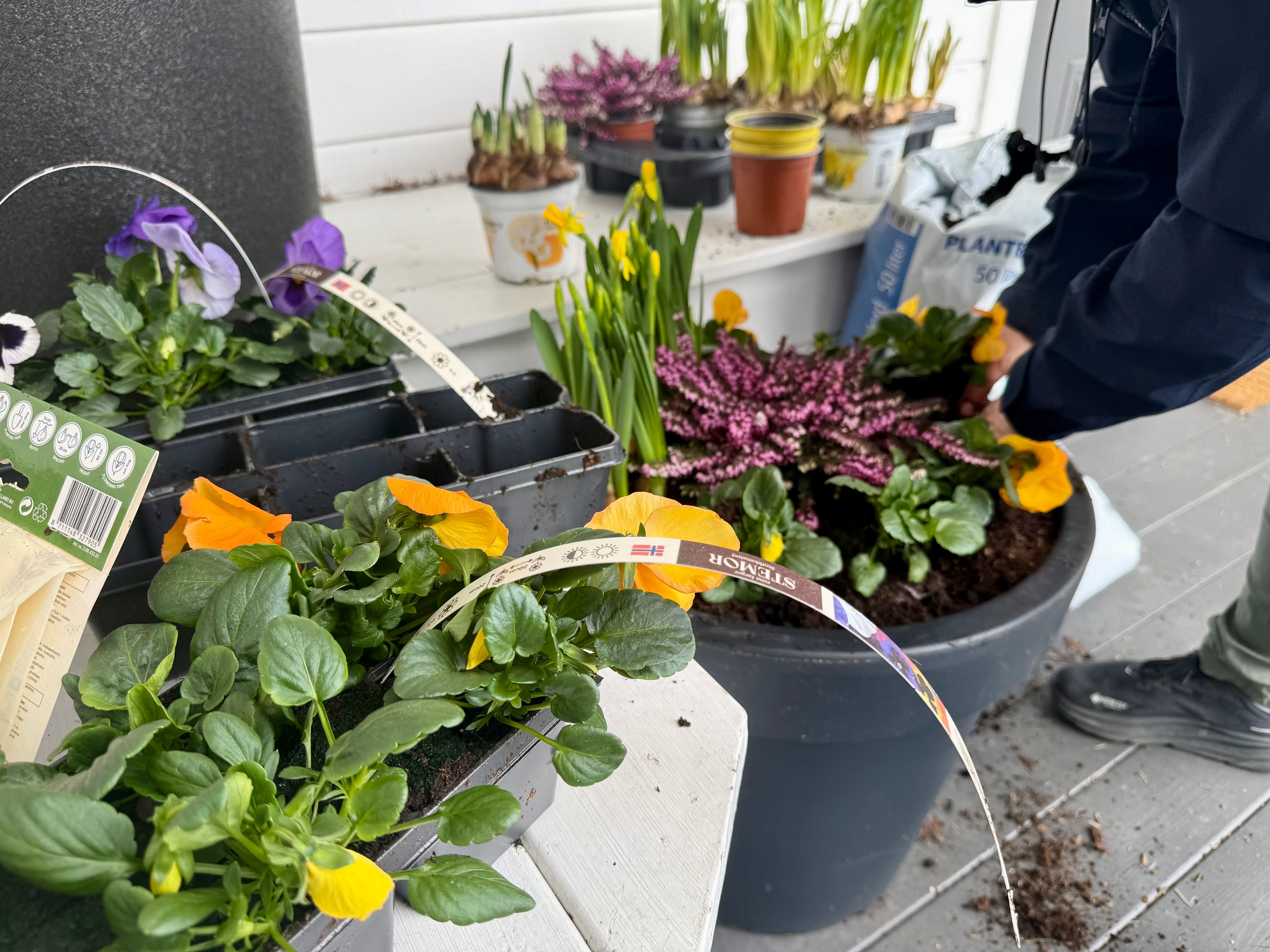 Gartneren advarer mot å gjøre dette nå