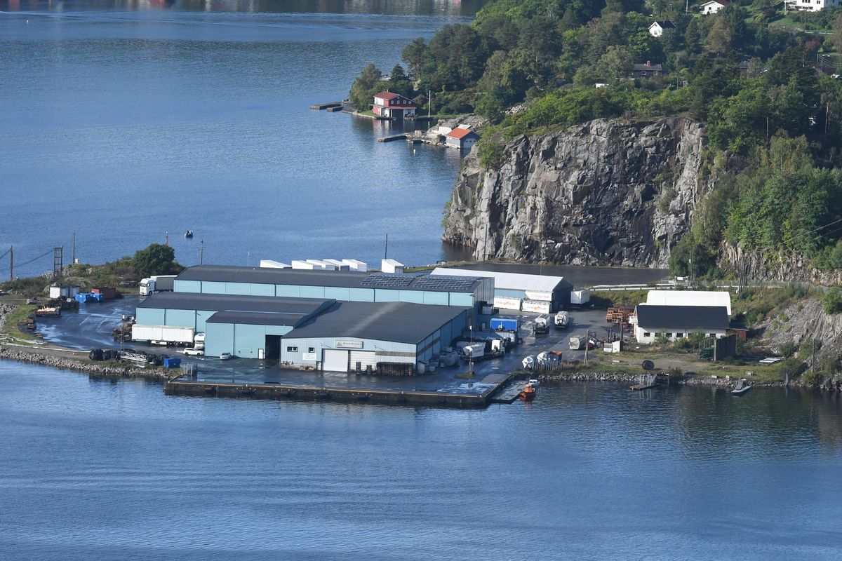 Søker midler til oppgradering av fiskerihavn