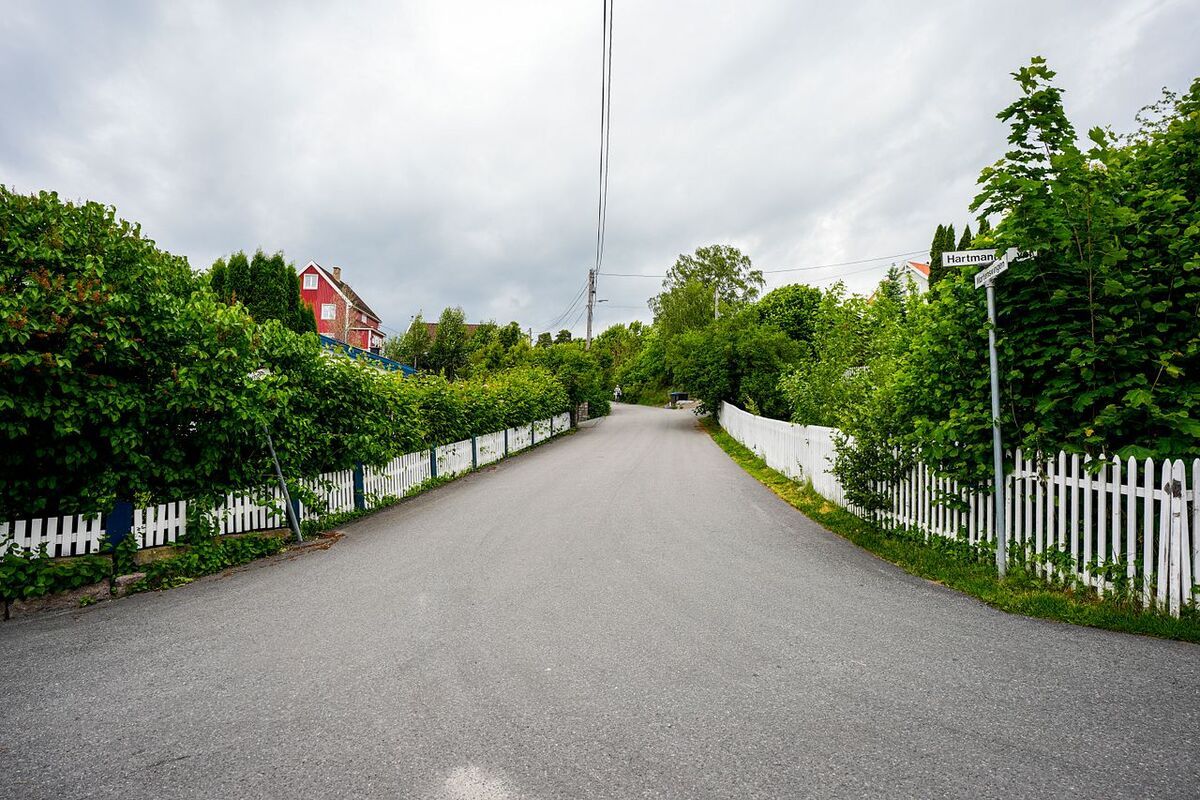 Oppfordrer til å klippe hekken før skolestart