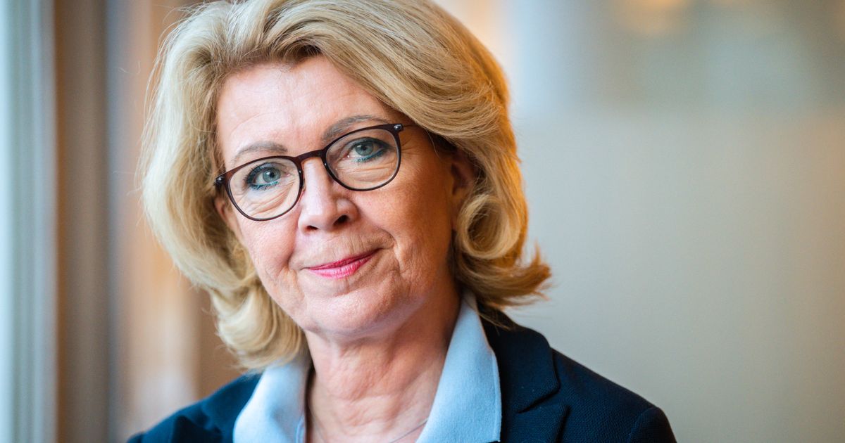 Norway's renewables boss backs EU – asks government to say yes to controversial energy package