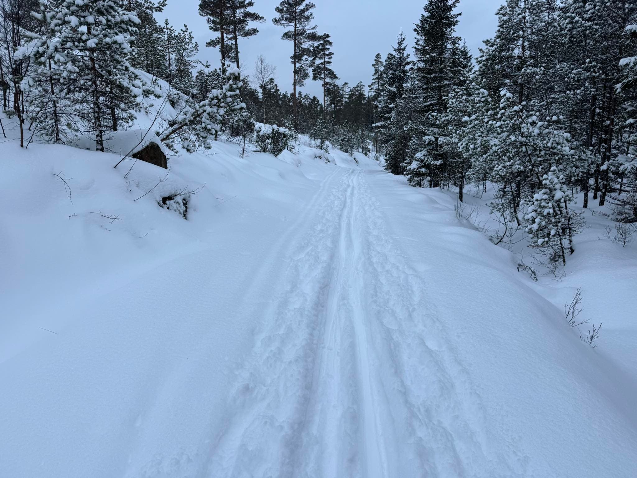 – Kunne like gjerne gått på jordet til bonden