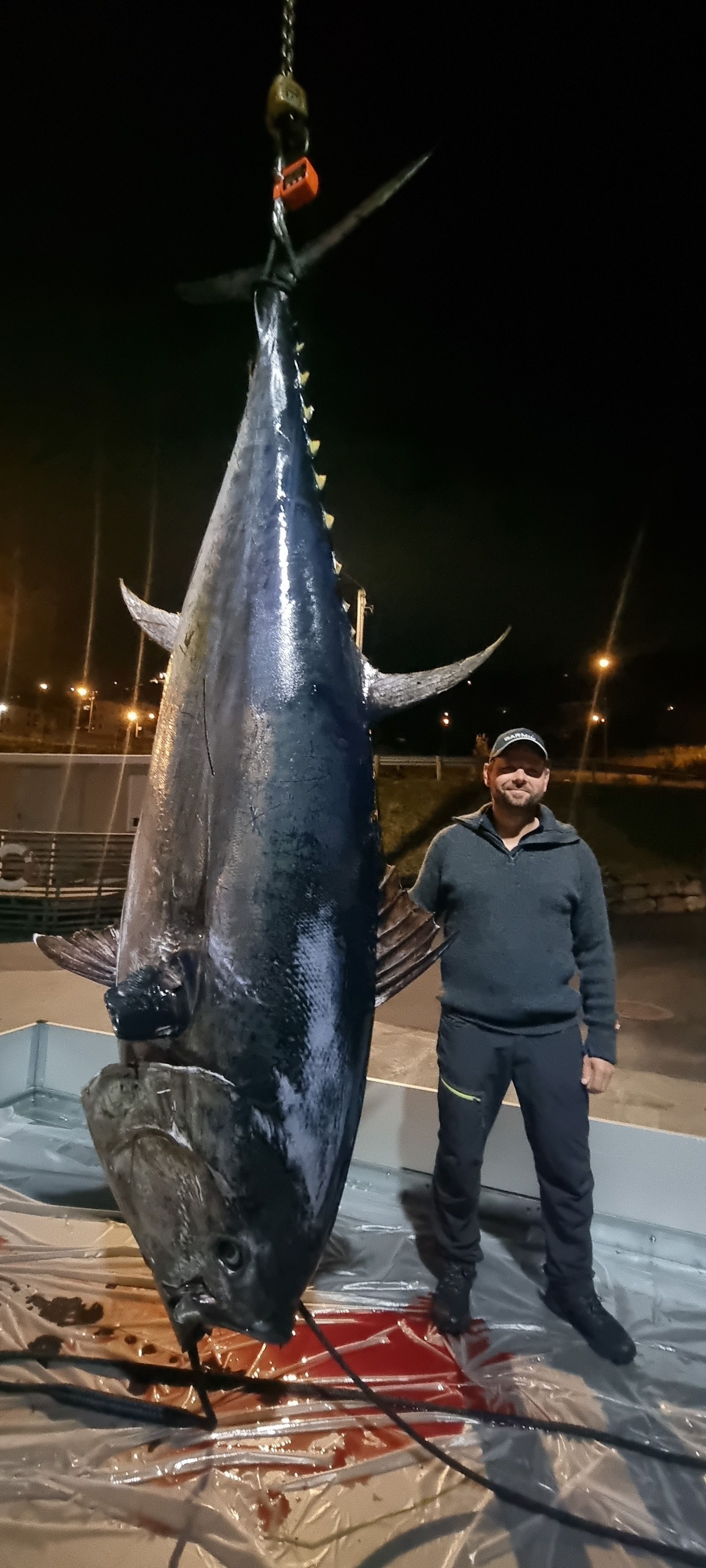 Fikk fisk på 315 kilo: – Det koker i sjøen nå - driva.no