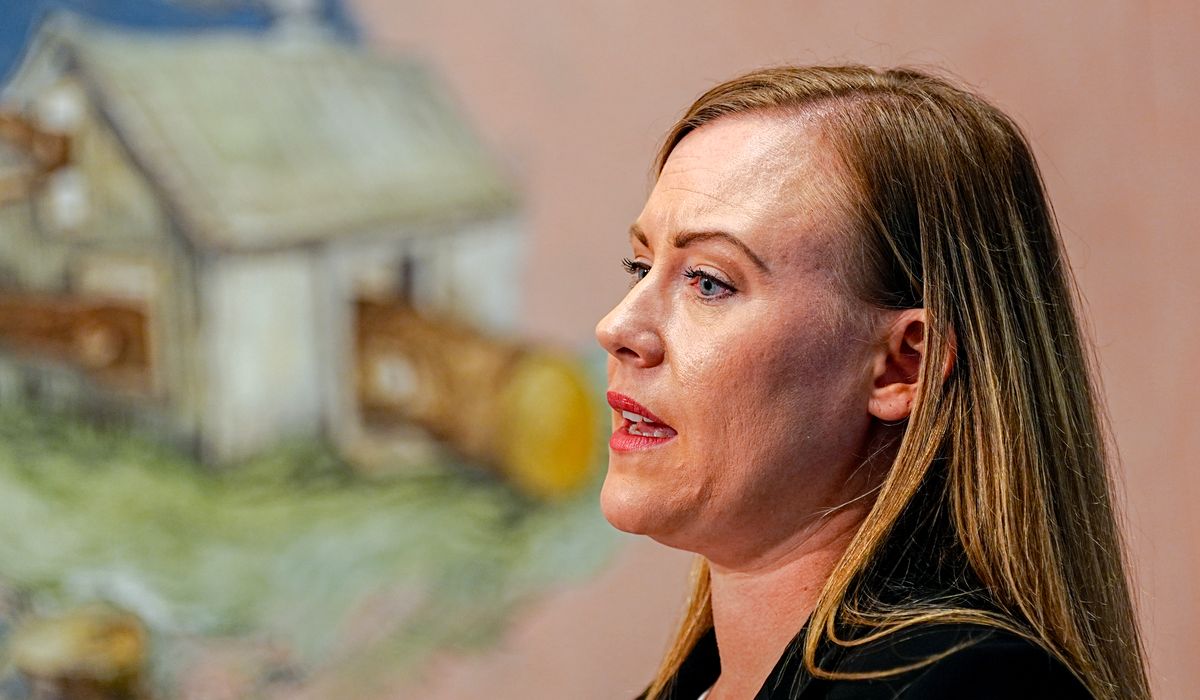 Har Mor Norge råd til å forsørge sine barn?