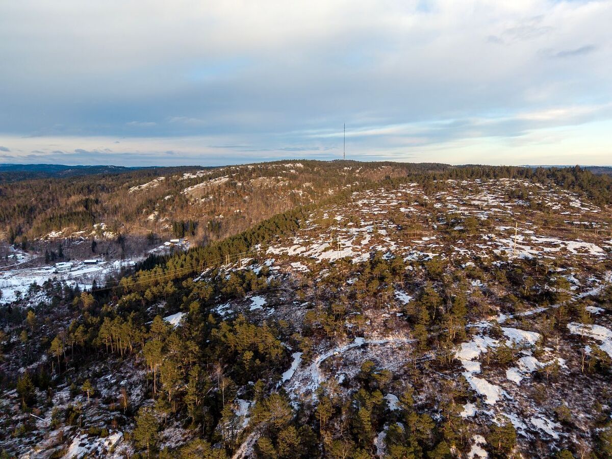 Kristian­sand: Åpner for solkraft i urørt natur