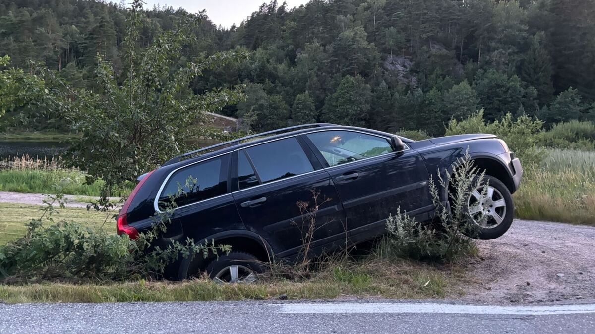 Mann dømt: Fylle­kjørte og havnet i grøfta