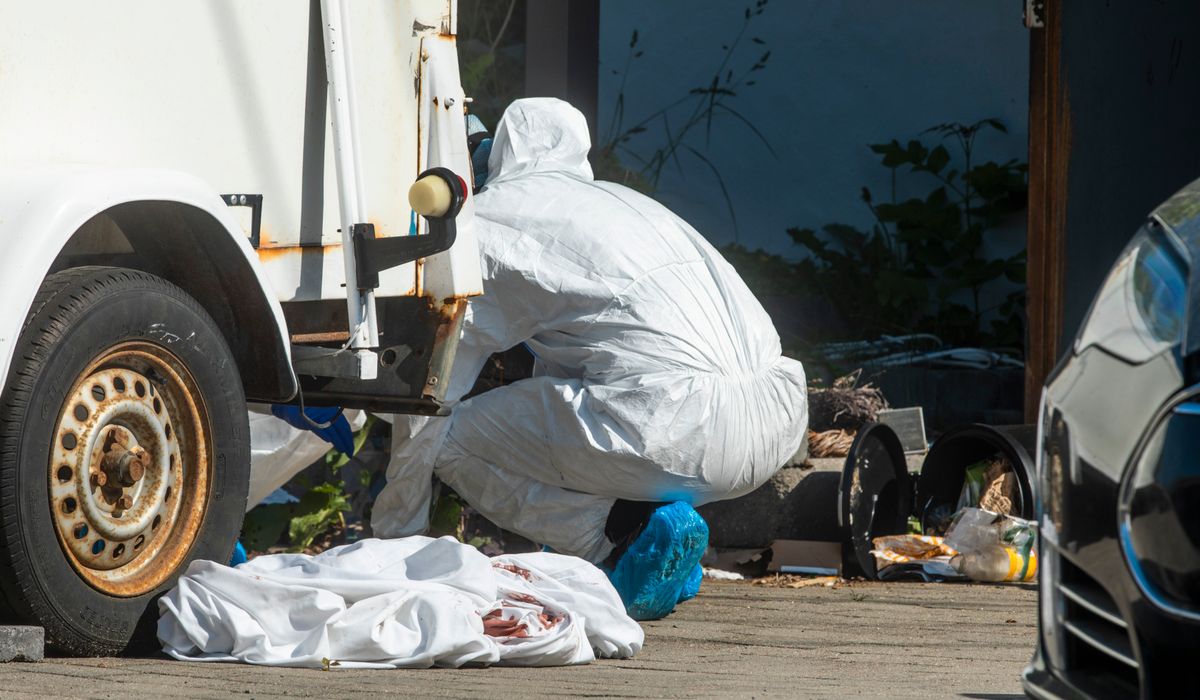 Brødre tiltalt for drapsforsøk på mann