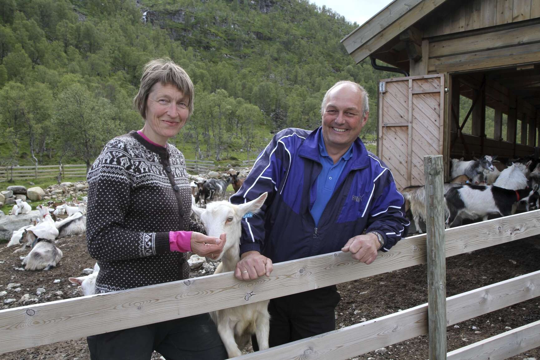 Ekteparet som går mot straumen - skapte nytt liv på stølen etter 66 år ...