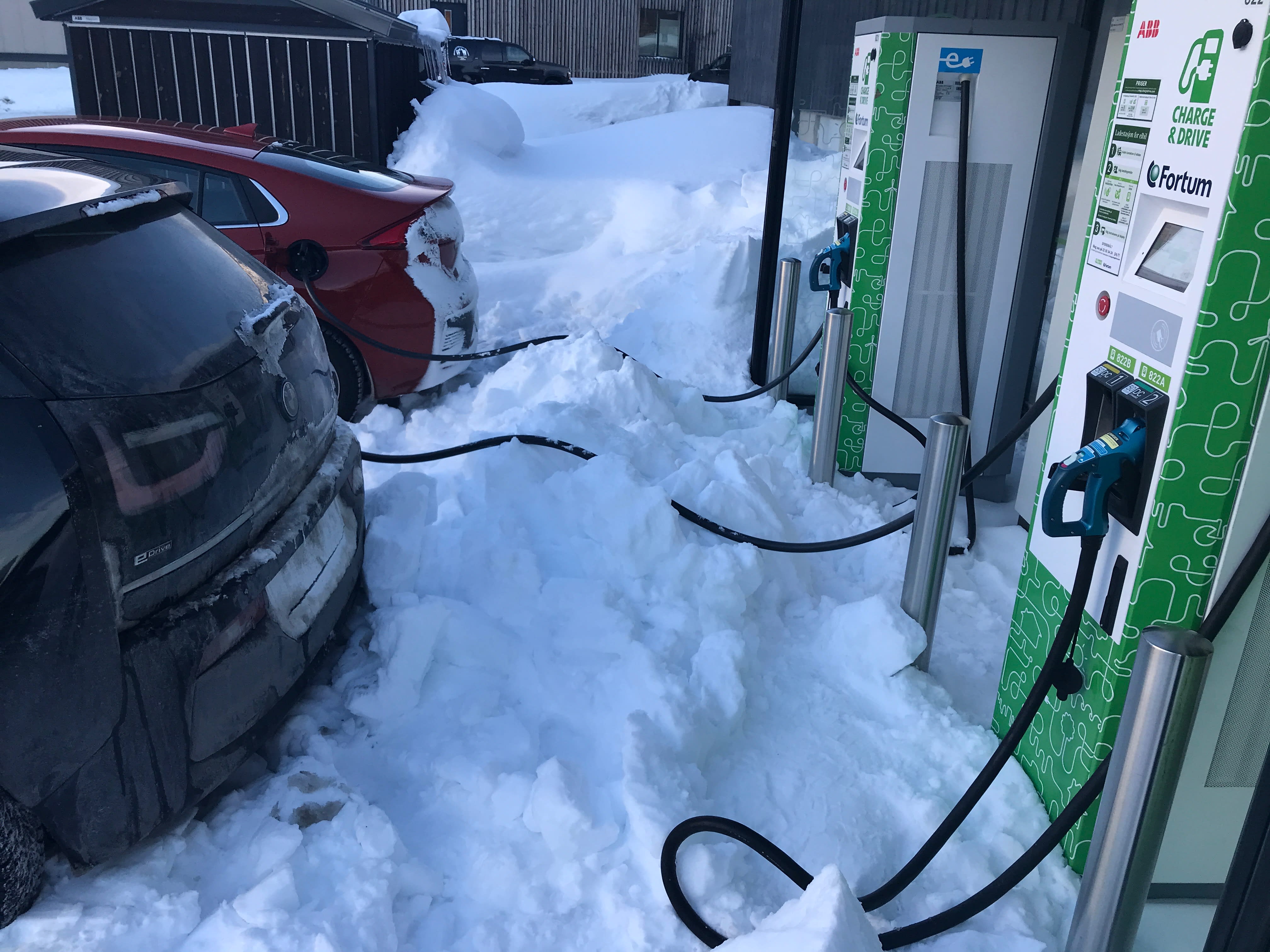 Mener dette har gått for langt. Kommunen varsler endringer.