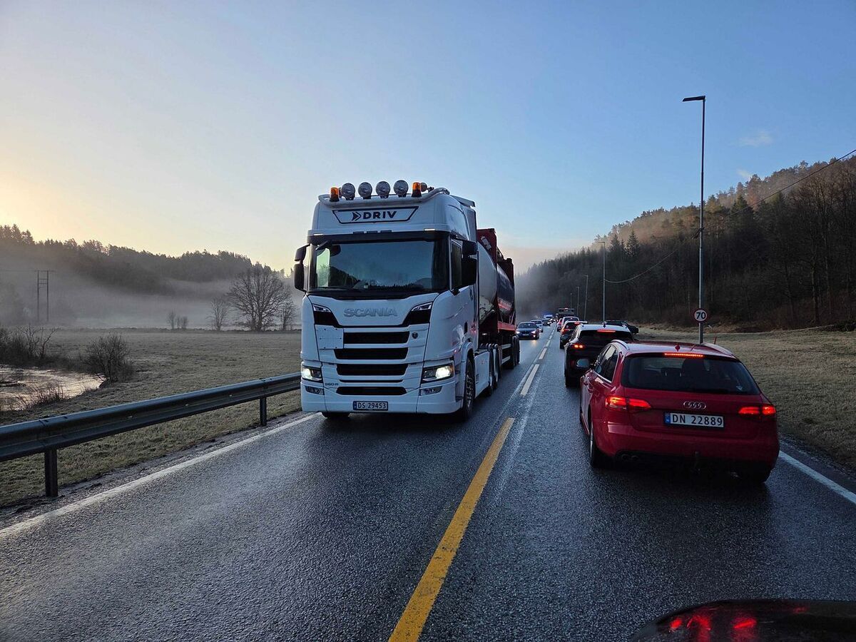 Lindesnes: Køer i begge retninger på E39 etter trafikkulykke