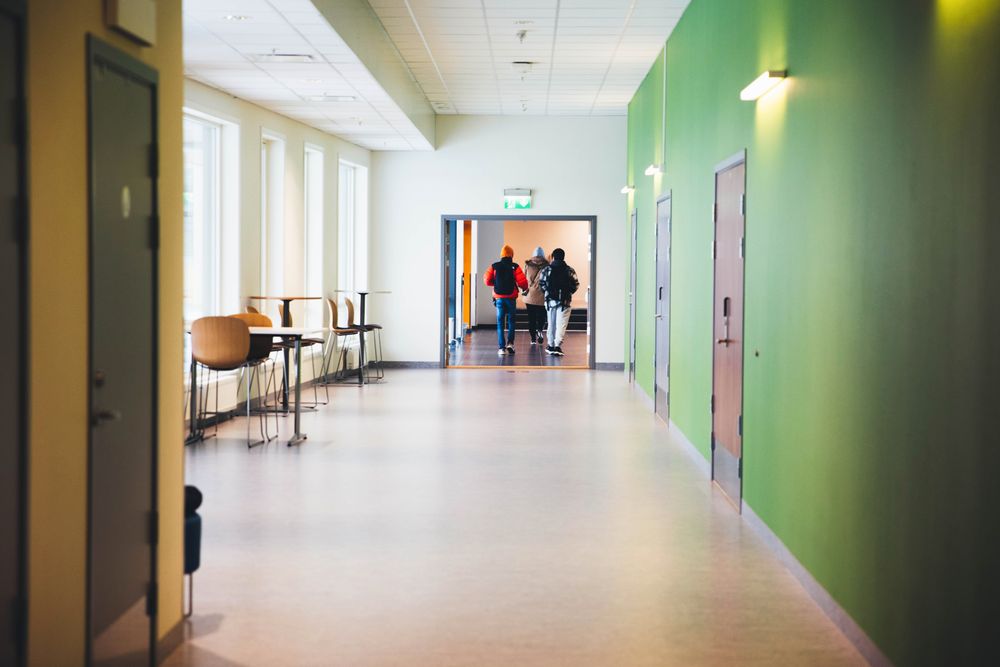 Support for summer school gives results