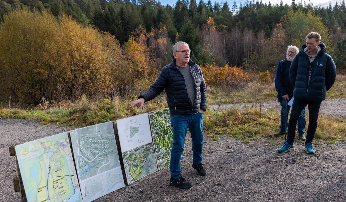 Bygger ned natur med 101 boliger
