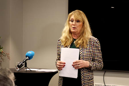 Oppsikts­vekkende hyttesak