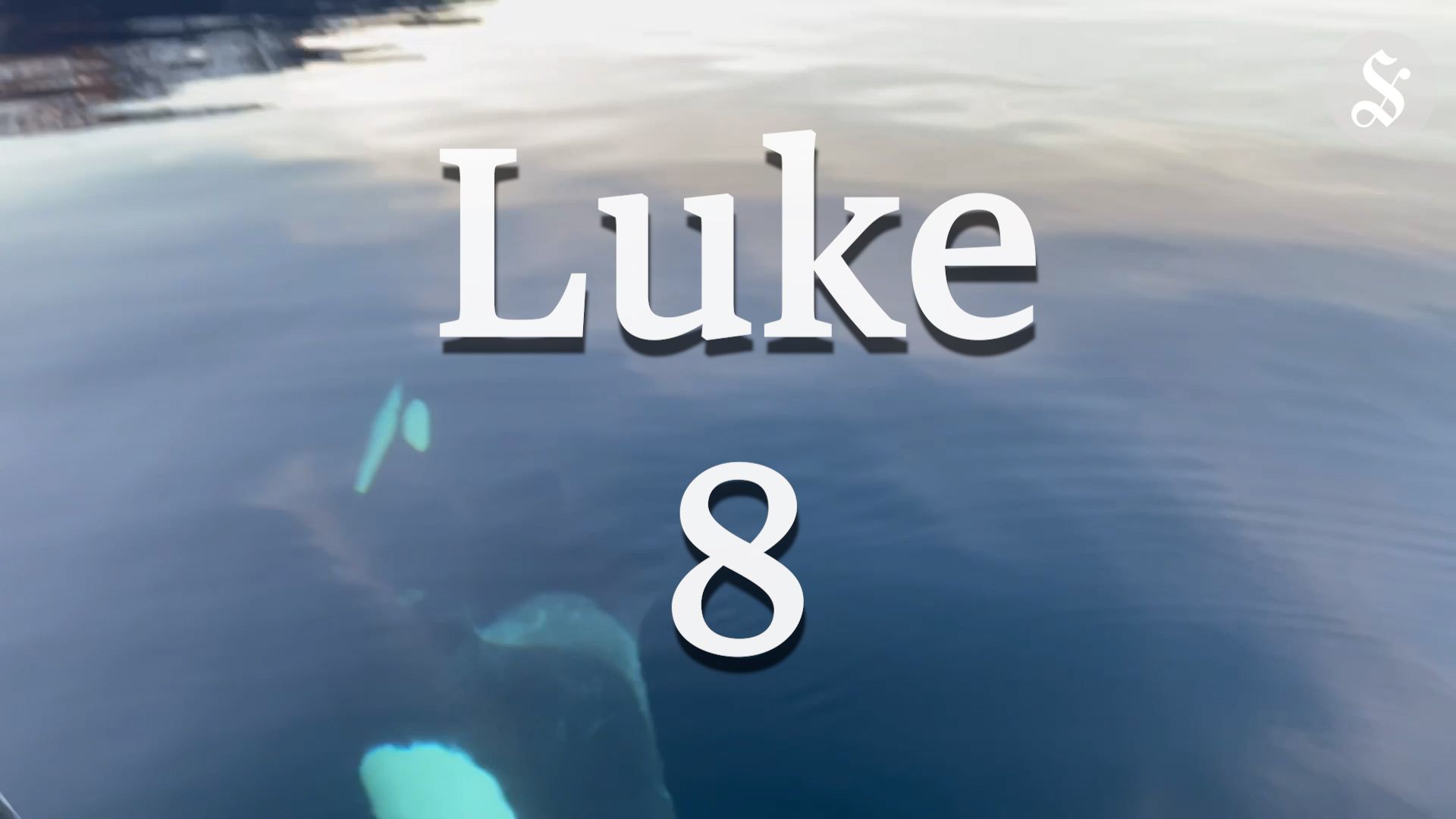 Julekalender 8. desember - smp.no