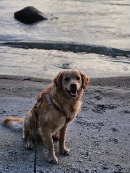 Fant Max død etter fyrver­keri-smell