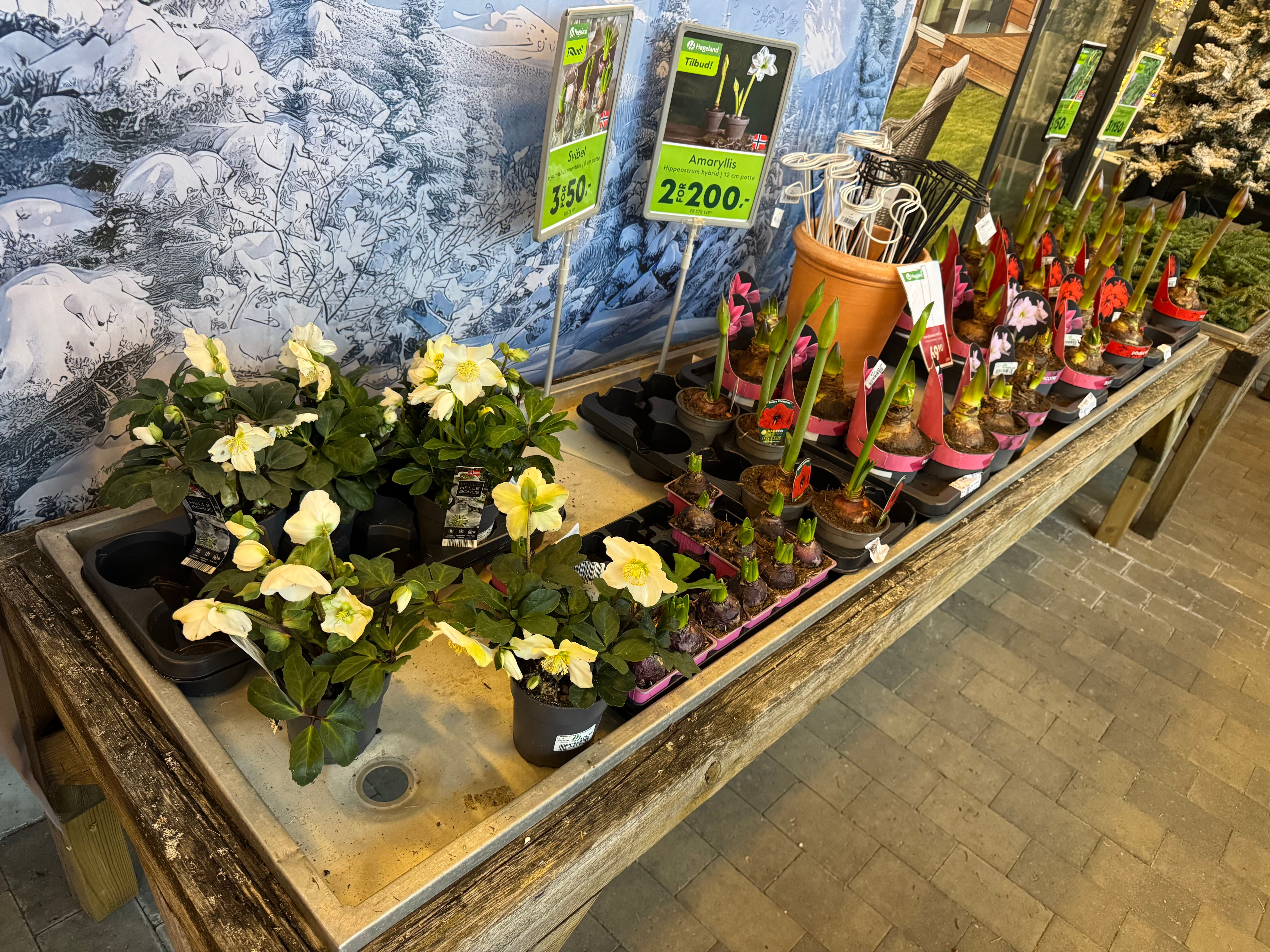 Siste jul i gammel butikk - driva.no