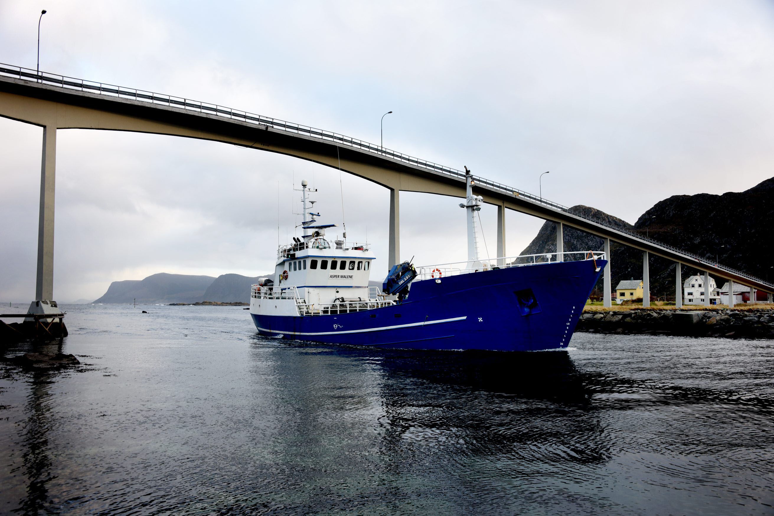 Asper Norway frifunnet for navnebruk - smp.no