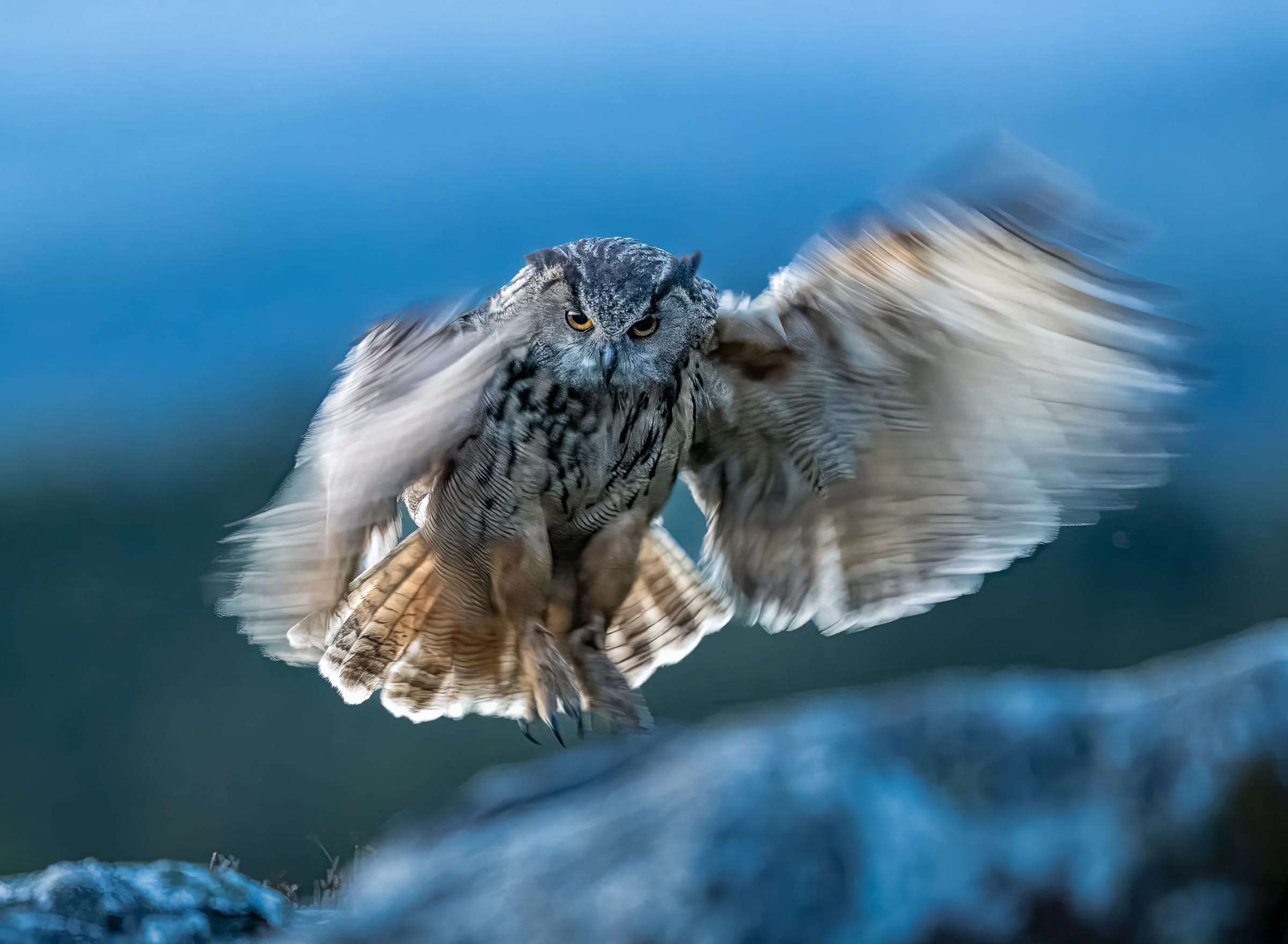 Bildet fikk NM-gull: – Du blir aldri utlært, du må skjerpe deg hele tida