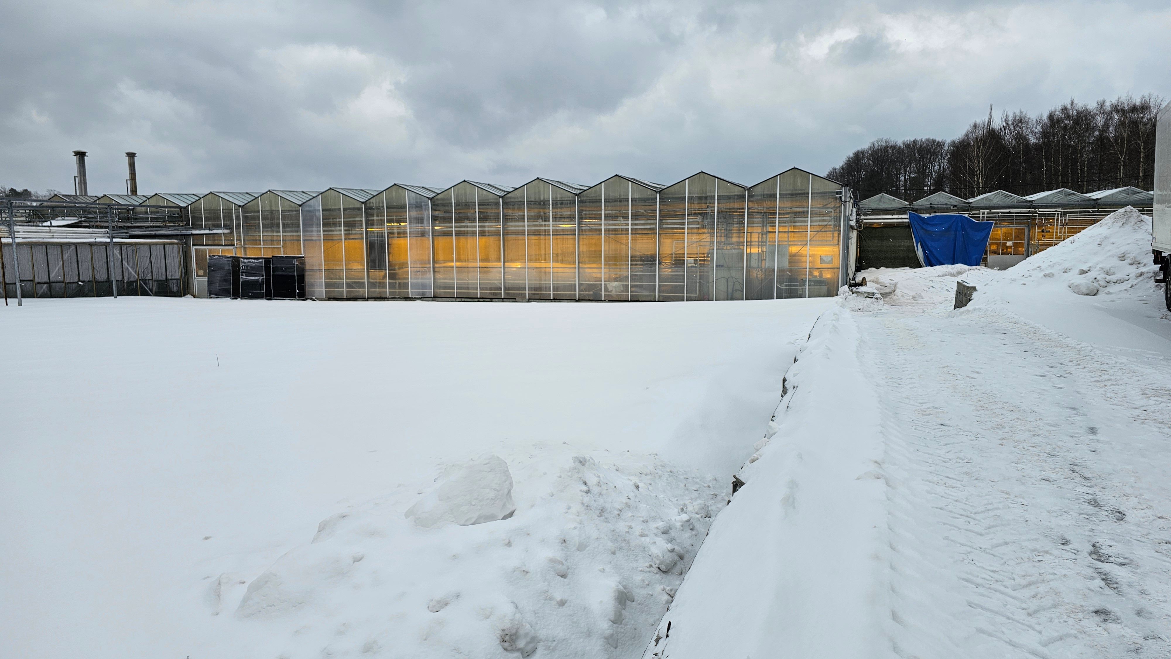 – Vi har virkelig måtte tenke om det er dette vi skal drive med videre