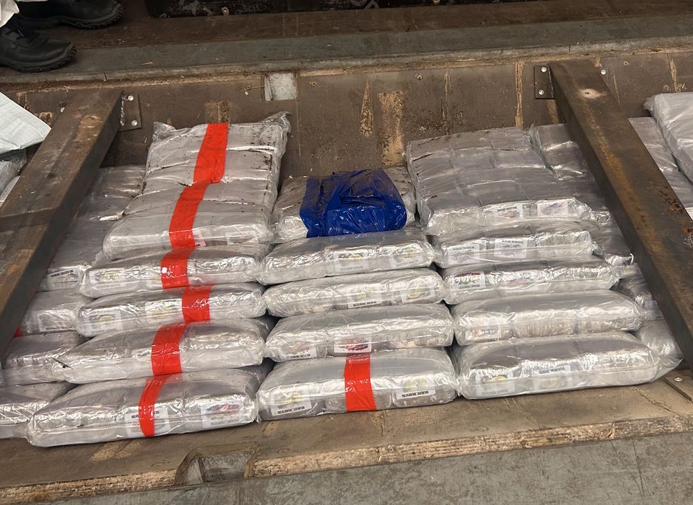 Svinesund: Fant et halvt tonn hasj