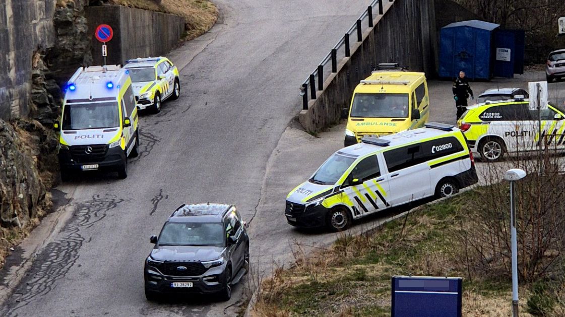 – Han har stukket meg. Kom!