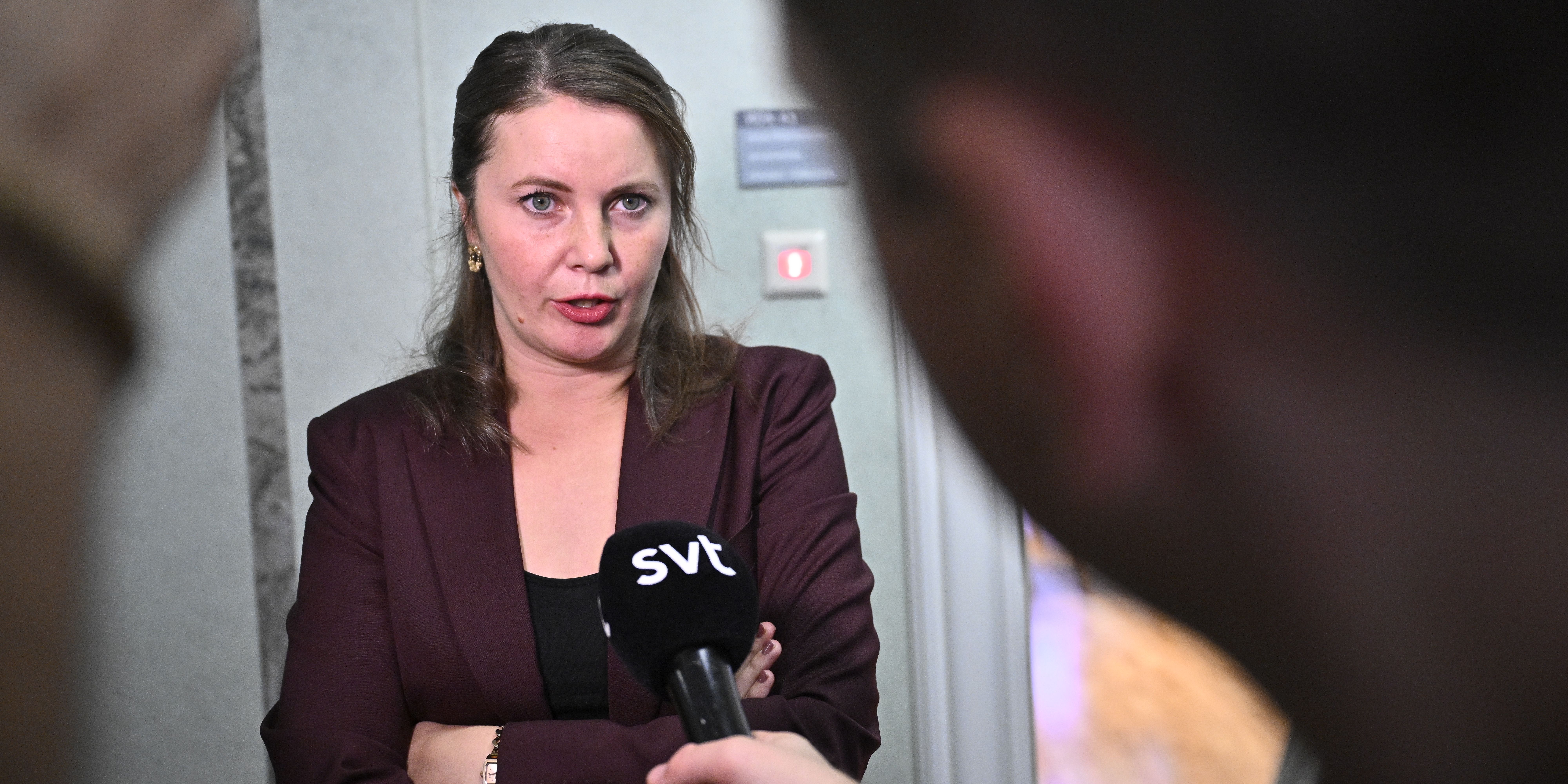 S, MP, V och C överens – vill ha tillfällig stopplag