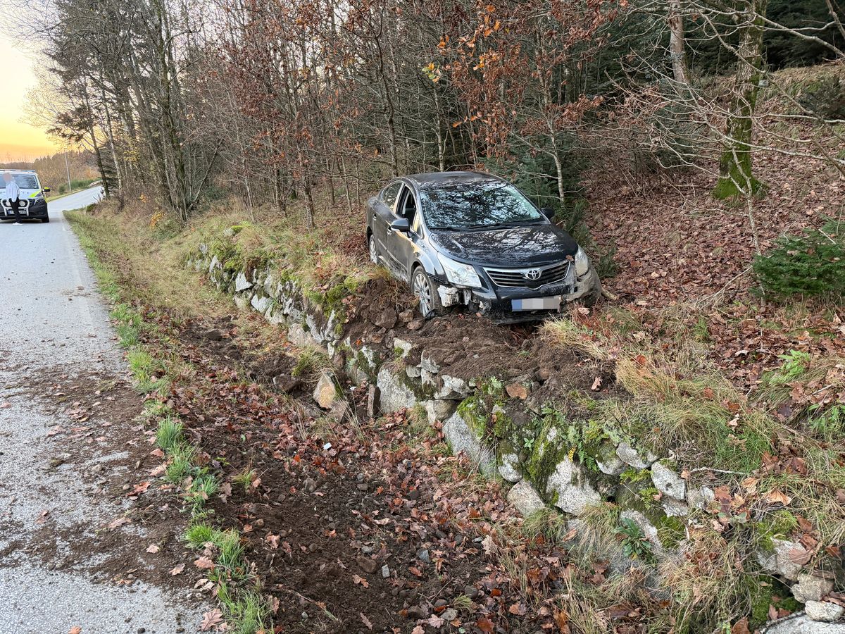 Svingte unna rådyr - havnet utfor veien