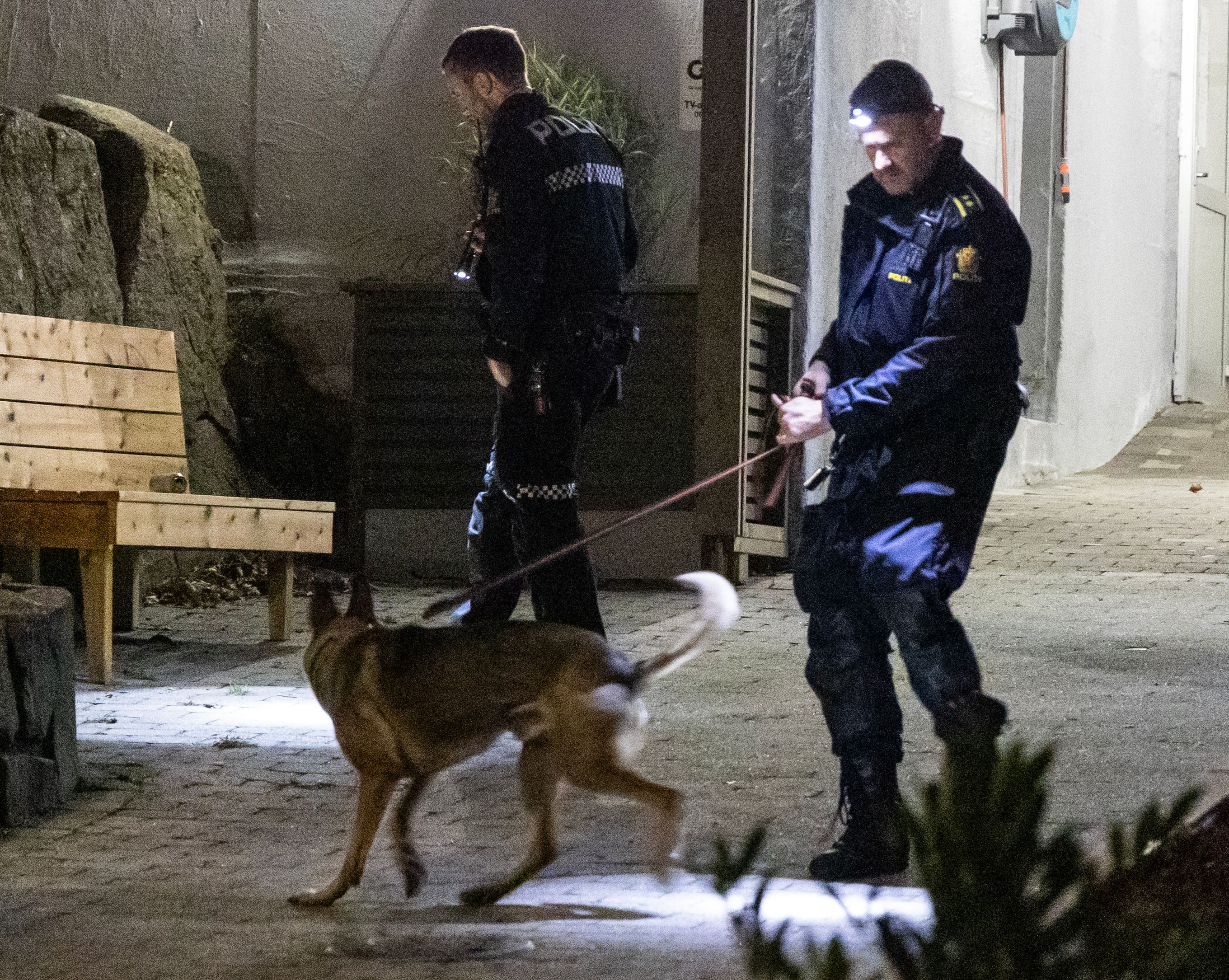 Ville ikke betale for sex. Løp etter kvinne med hammer.