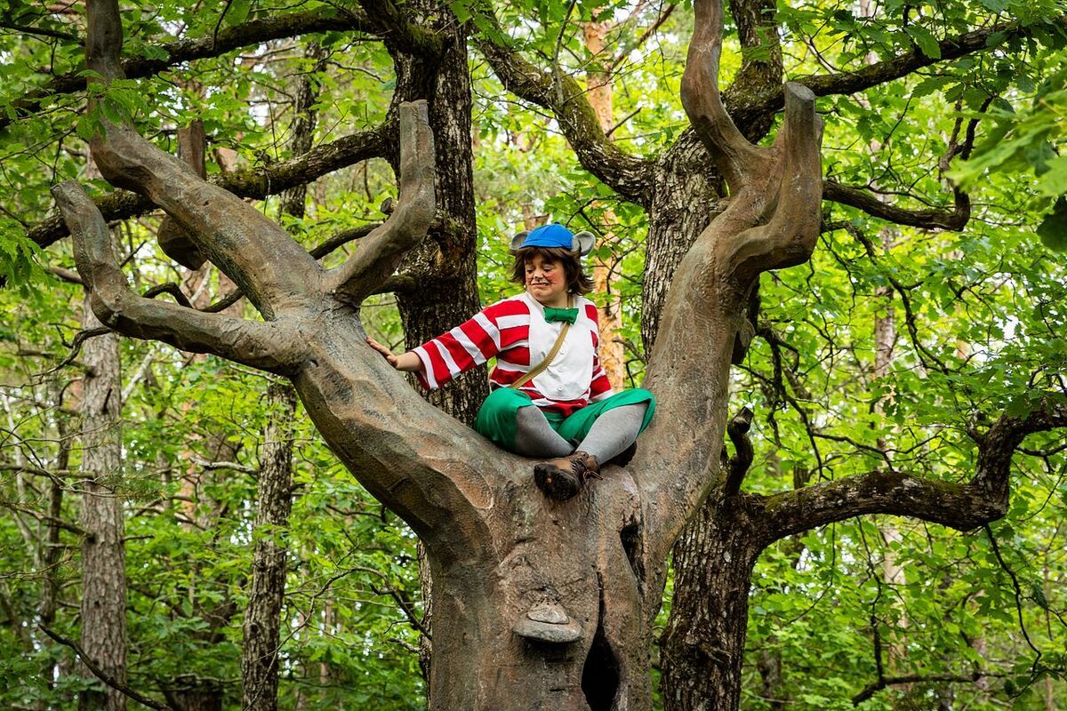 Barnefilmfestivalen starter med Hakkebakkeskogen.