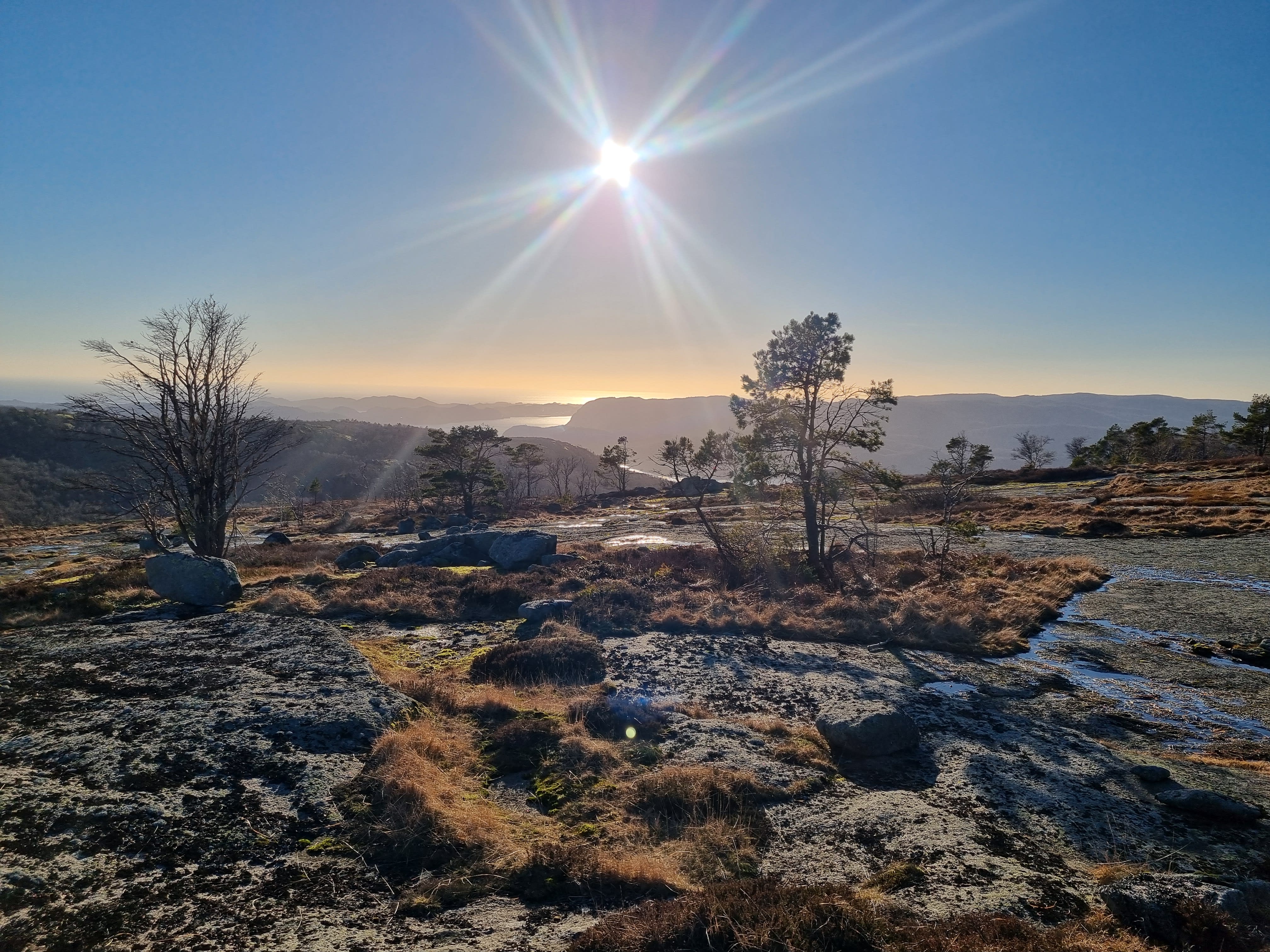 Dette mener poli­tikerne om den planlagte solcelle­parken på Stein­sheia