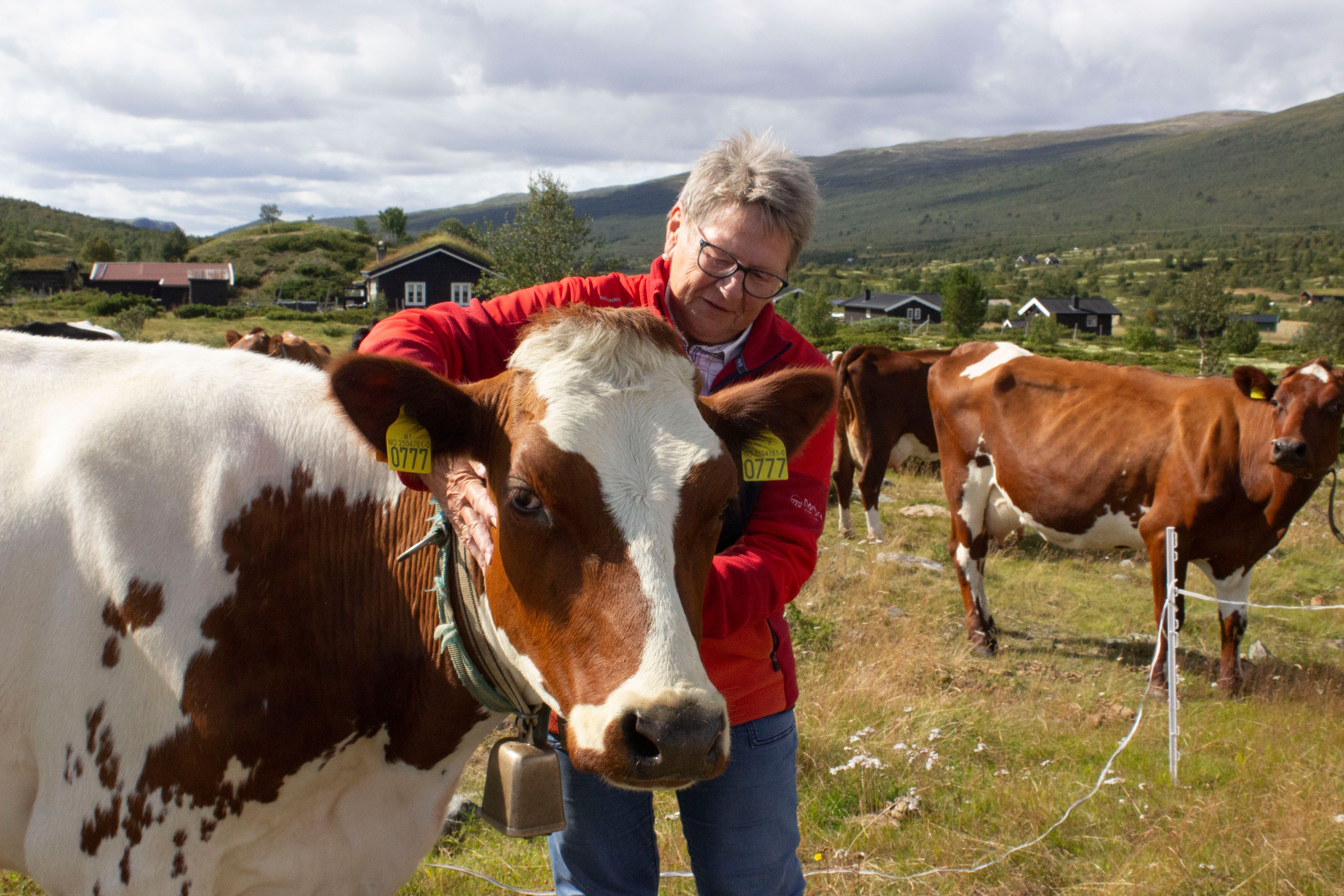 Dagrun lever seterlivet på Dovrefjell - vigga.no