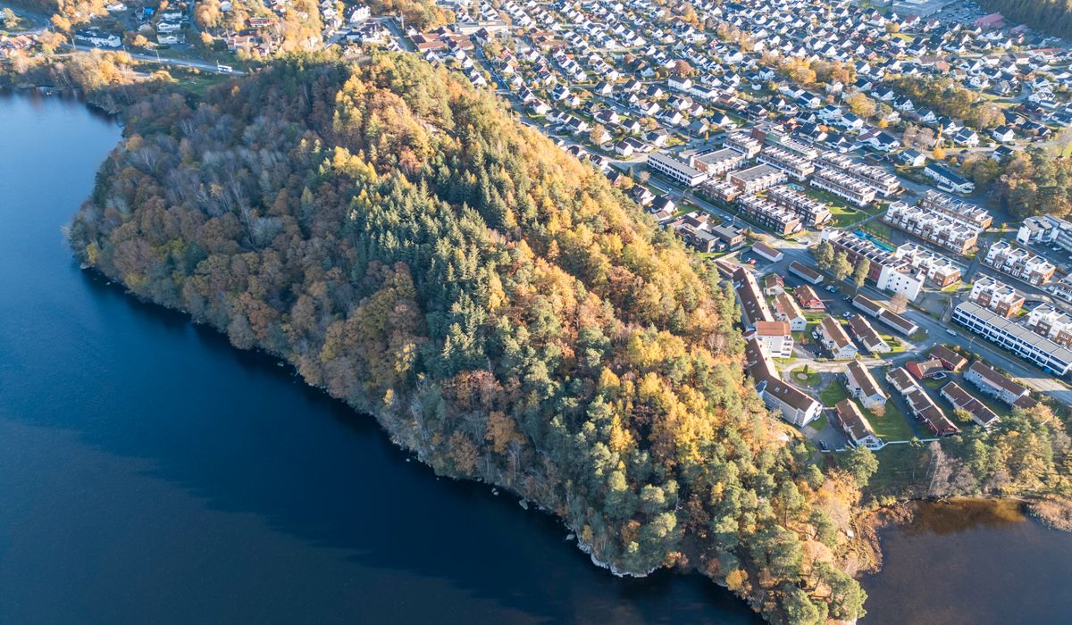 – Dette er en skikkelig gladsak