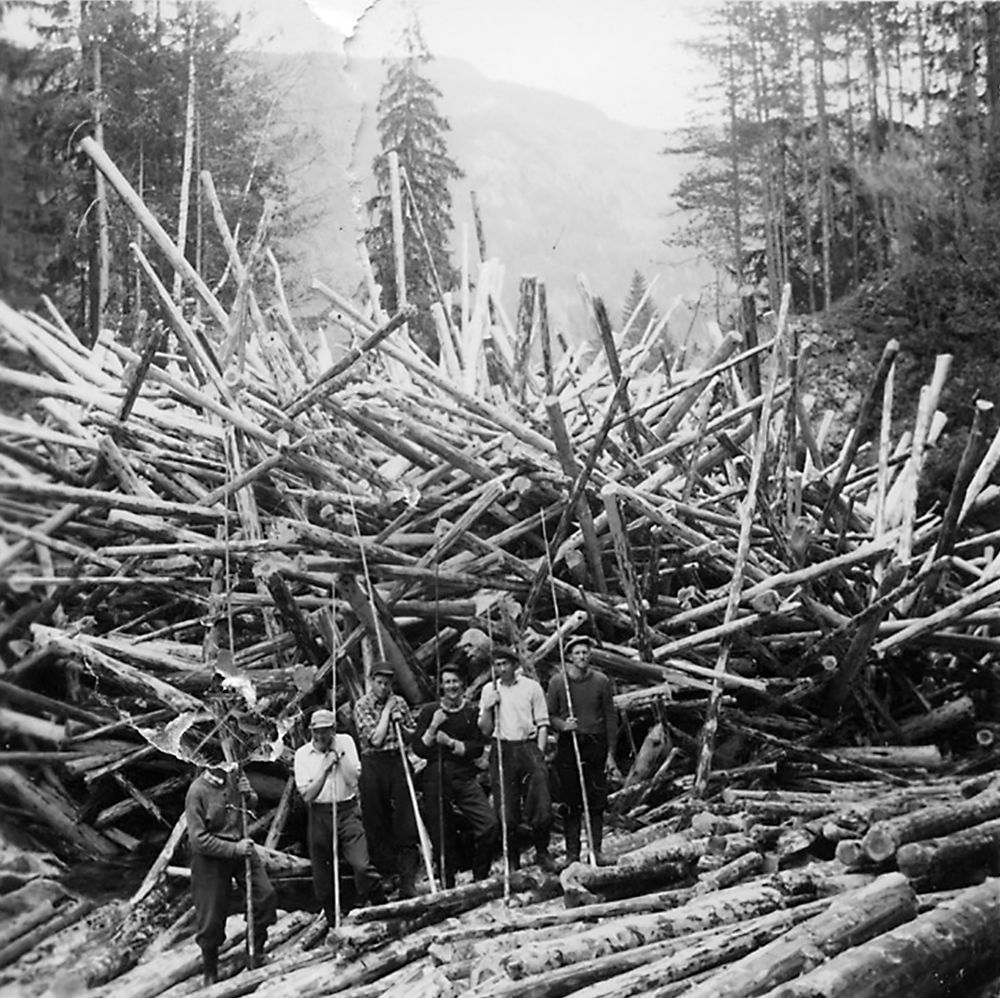Image Description