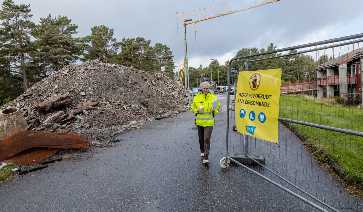 Vil både ha rekkehus og flere hundre leiligheter