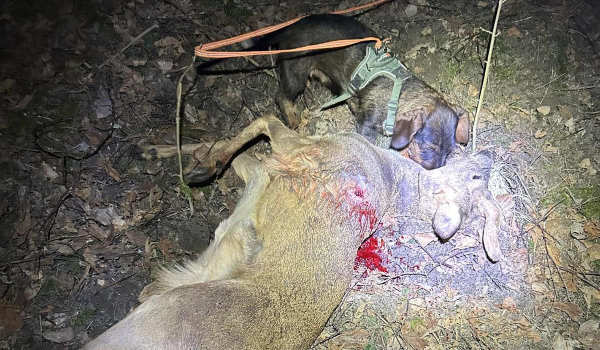 Faren øker – advarer bilister