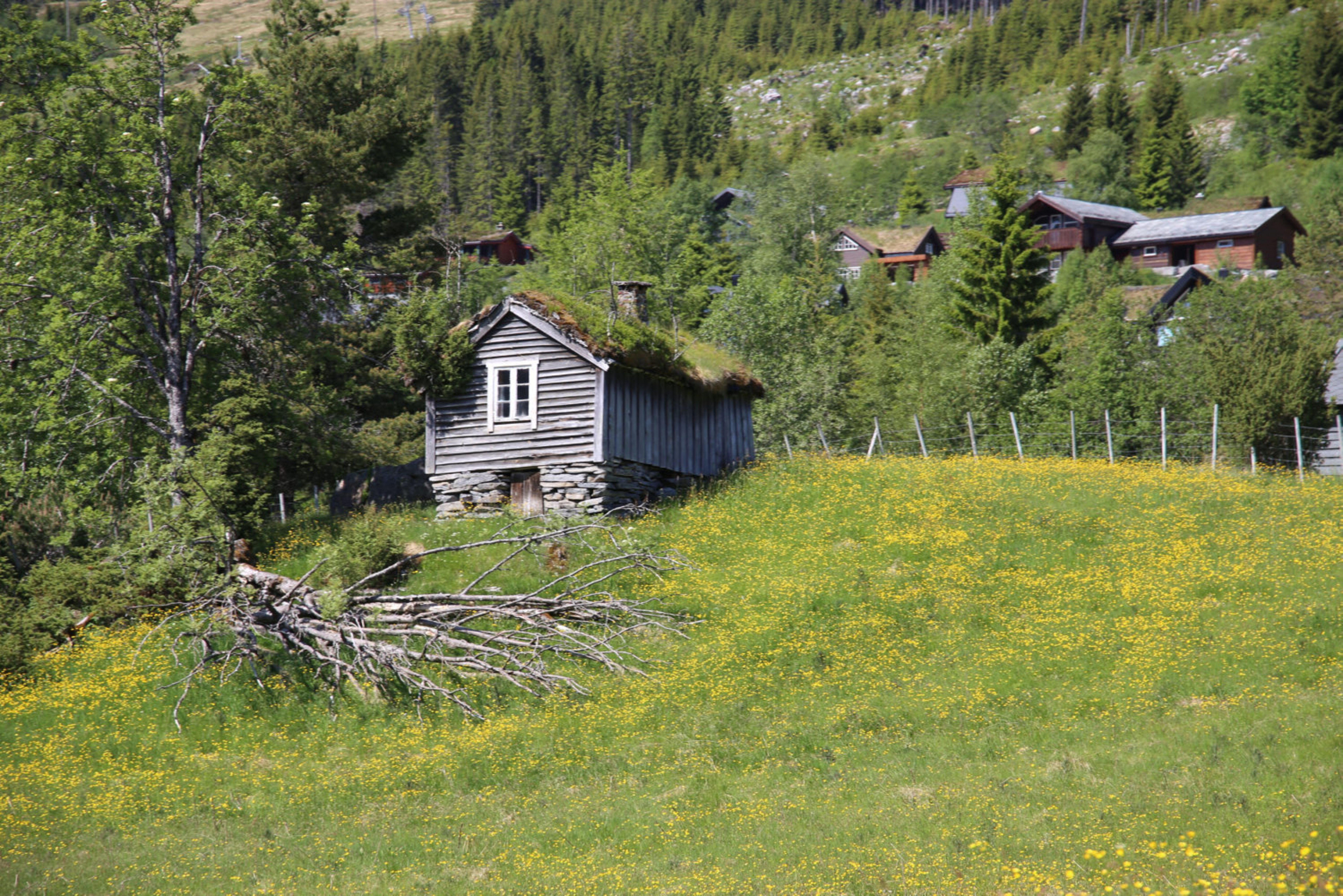 Omsetting Av Eigedomar I Stad Kommune I Oktober Fjordabladet no