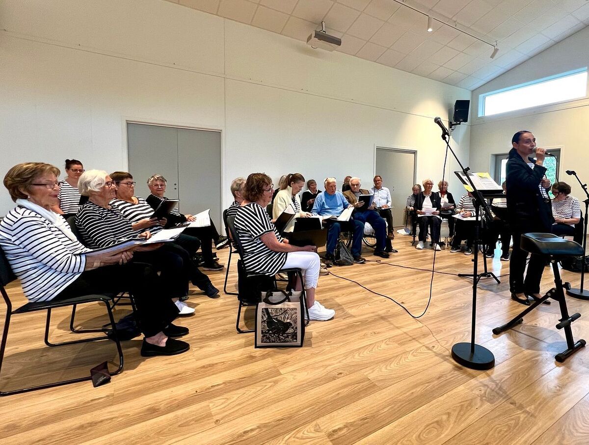 Inviterte til konsert og allsang