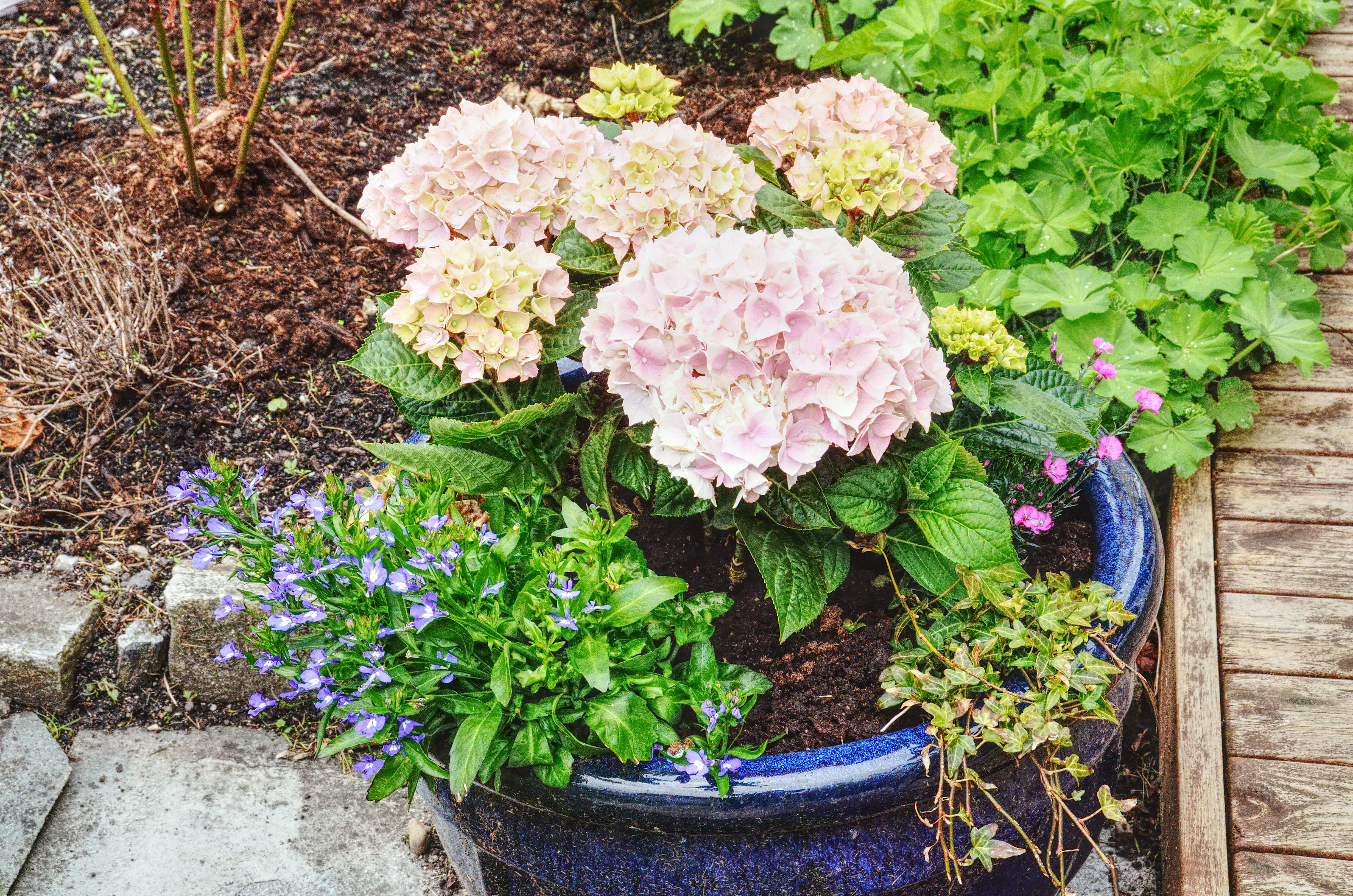 Sjekk uteplassen til Lillian og Trond: – Han maler med pensel, men jeg