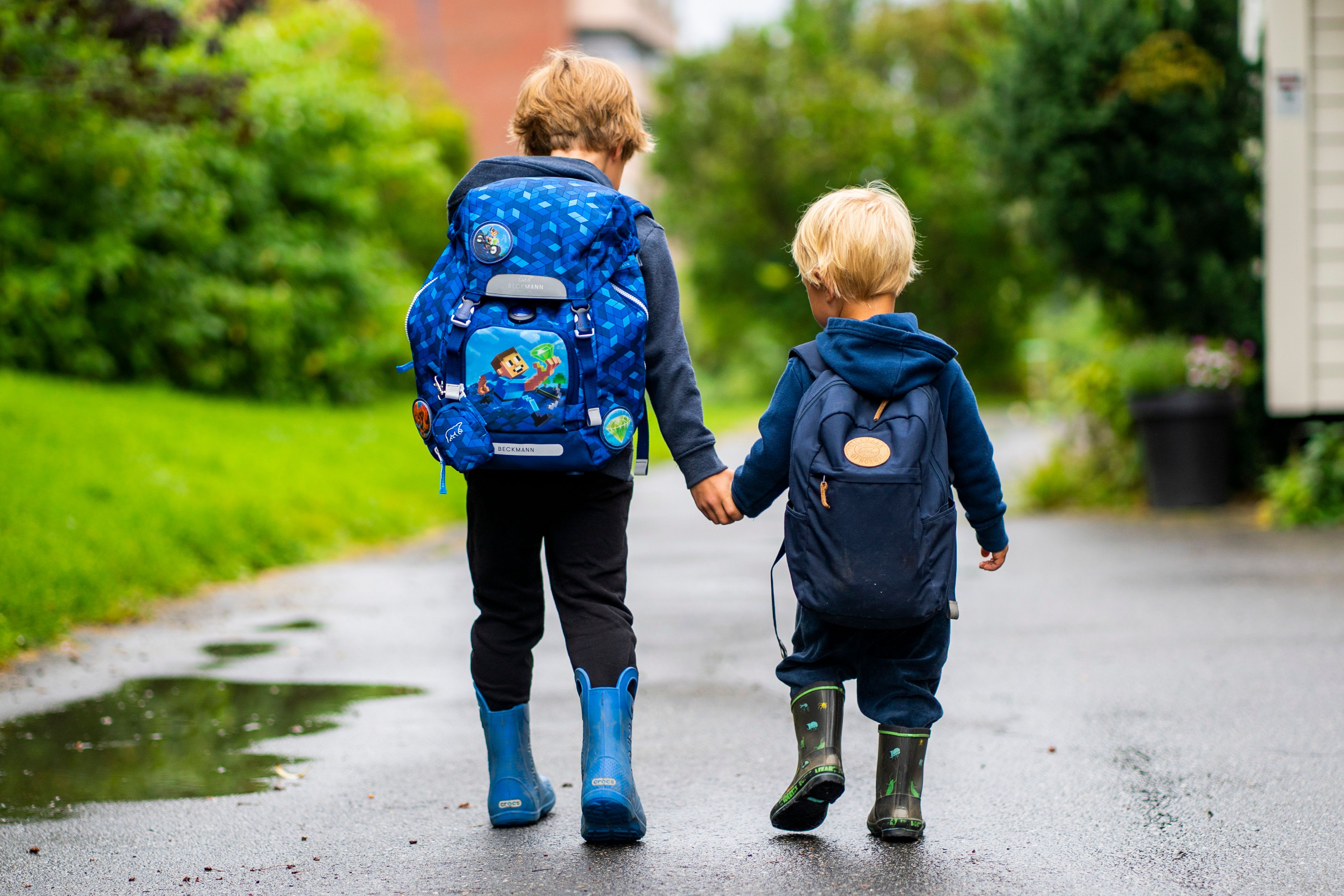 Kindergarten Changes: Price, Absences, & Student Support – August 1