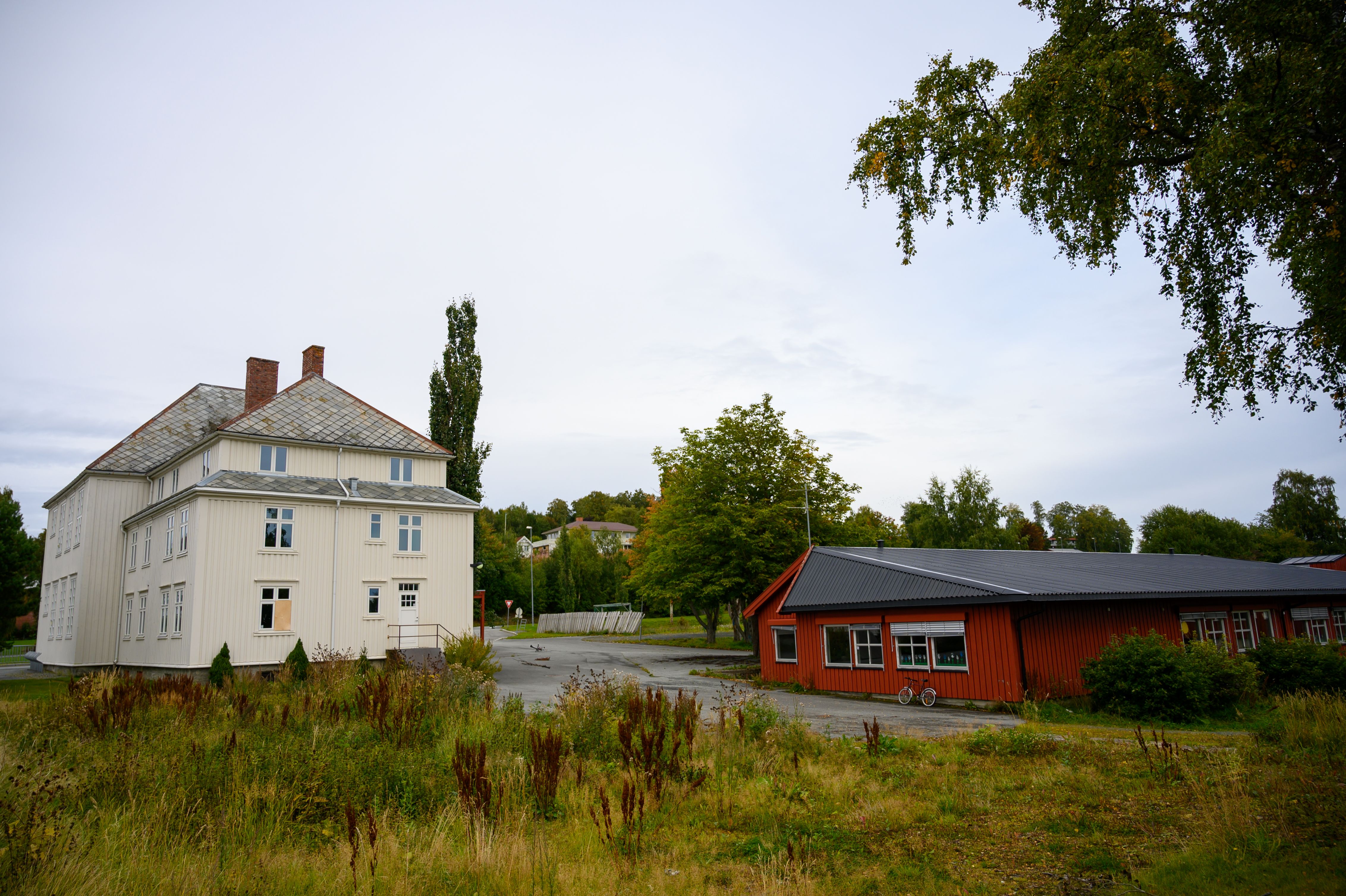 Har fått «ja» til å gjøre dette også i år - se hele lista - innherred.no