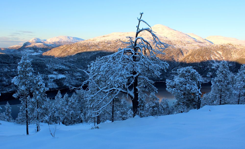 OBS-varsel for Møre og Romsdal - driva.no, image size:1000x609