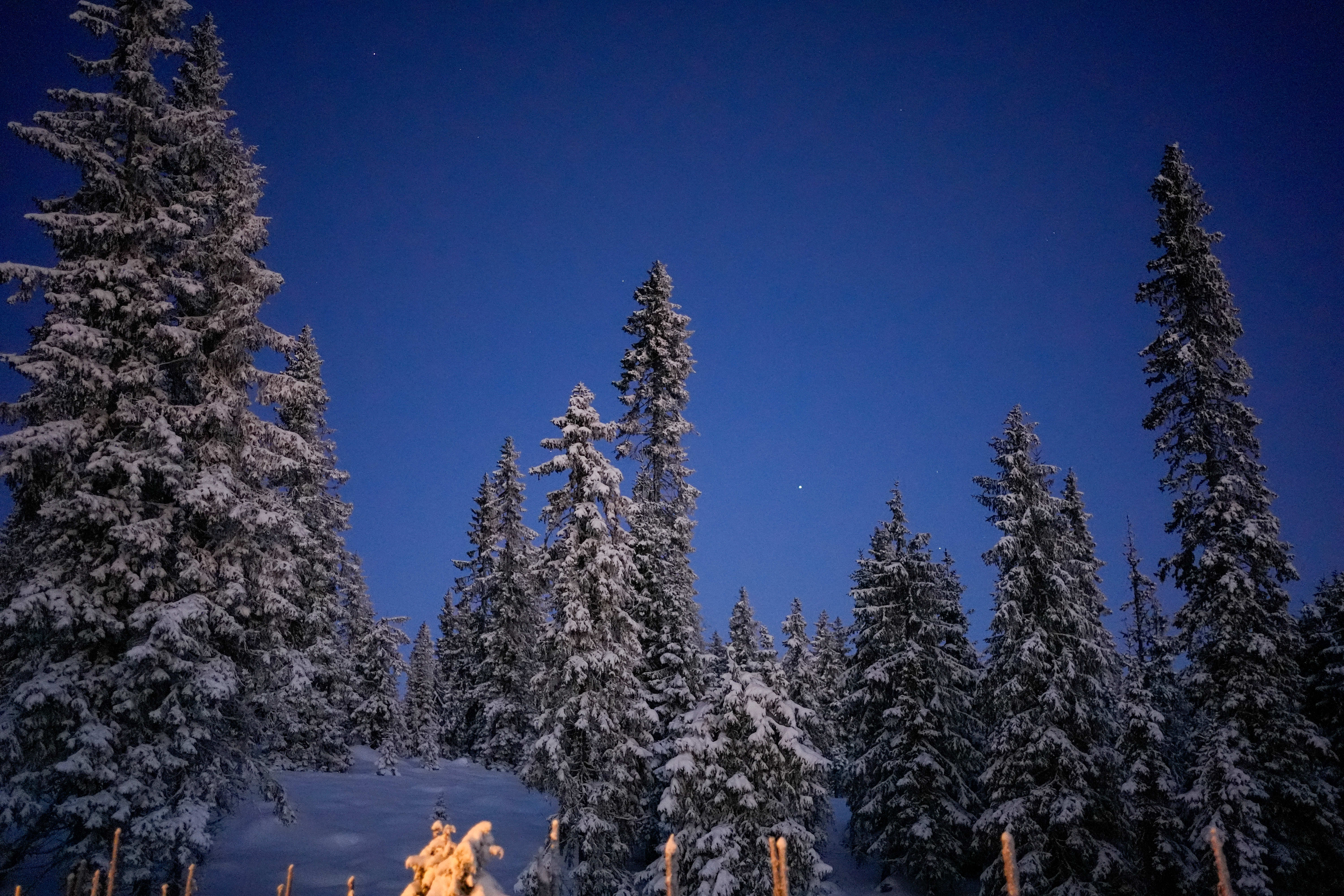 Februar starter slik januar slutter