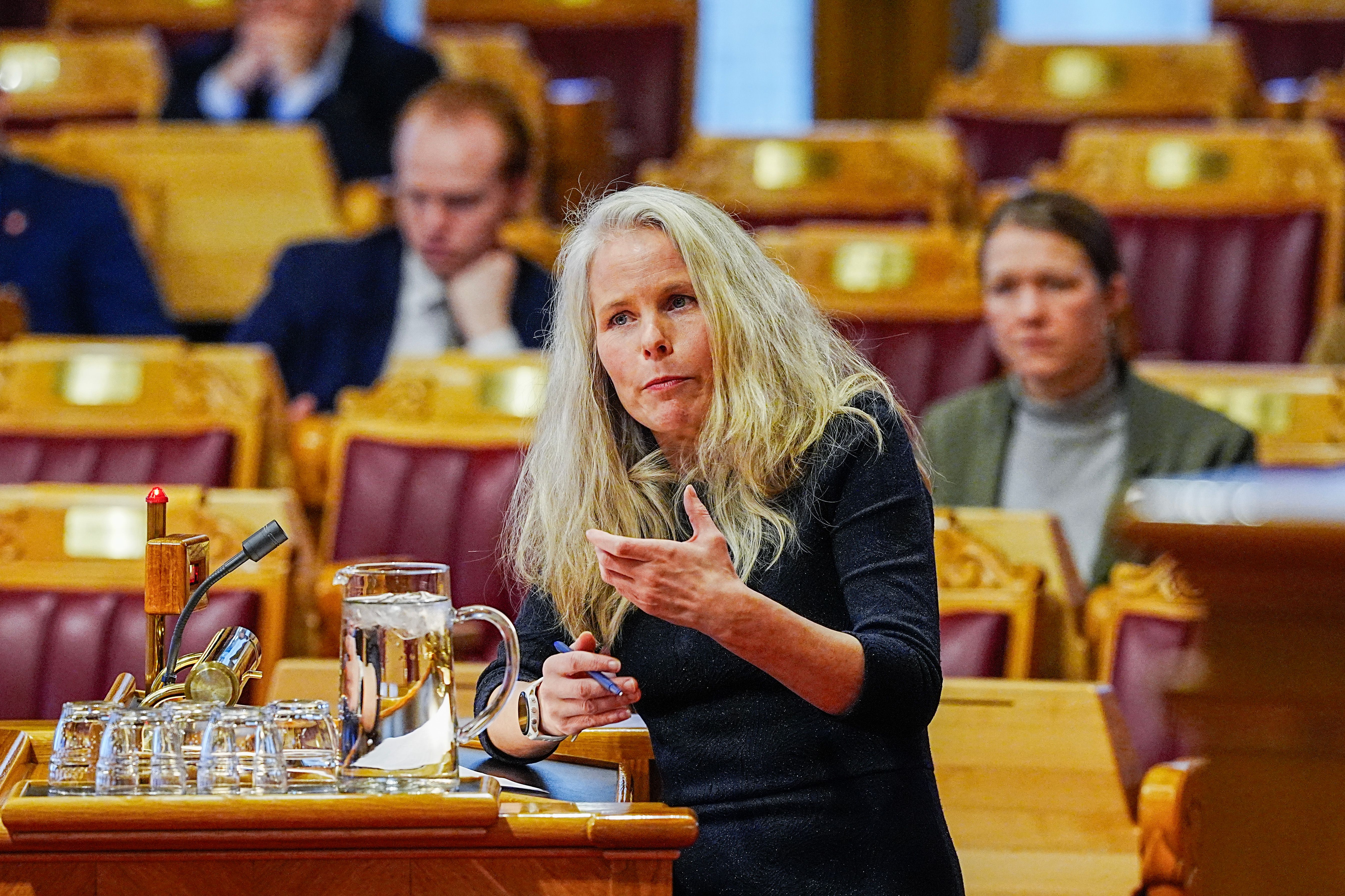 Nådeløs SV-rapport