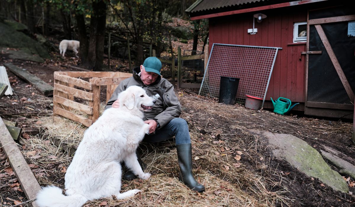 Ble kontaktet av nederlendere: – Tror dette kan bli starten på noe nytt