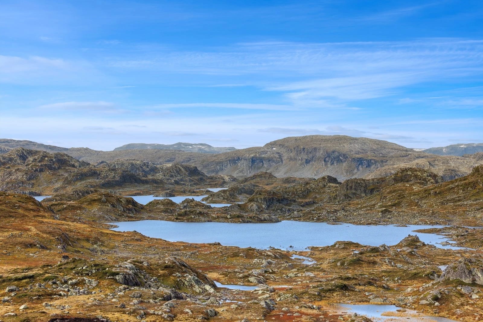 Skipsreder punget ut for jaktterreng