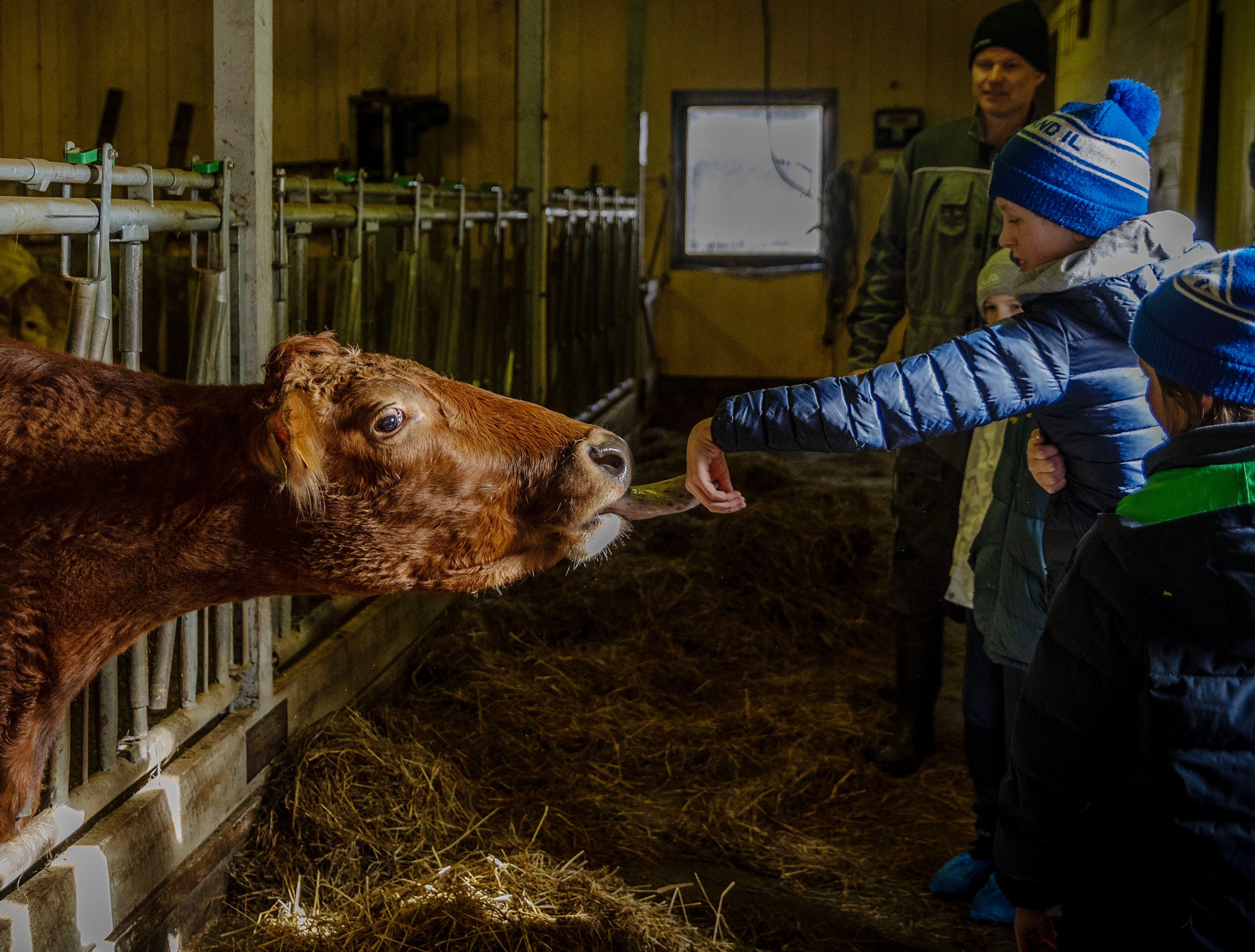 – Det var ei skikkelig piggete tunge