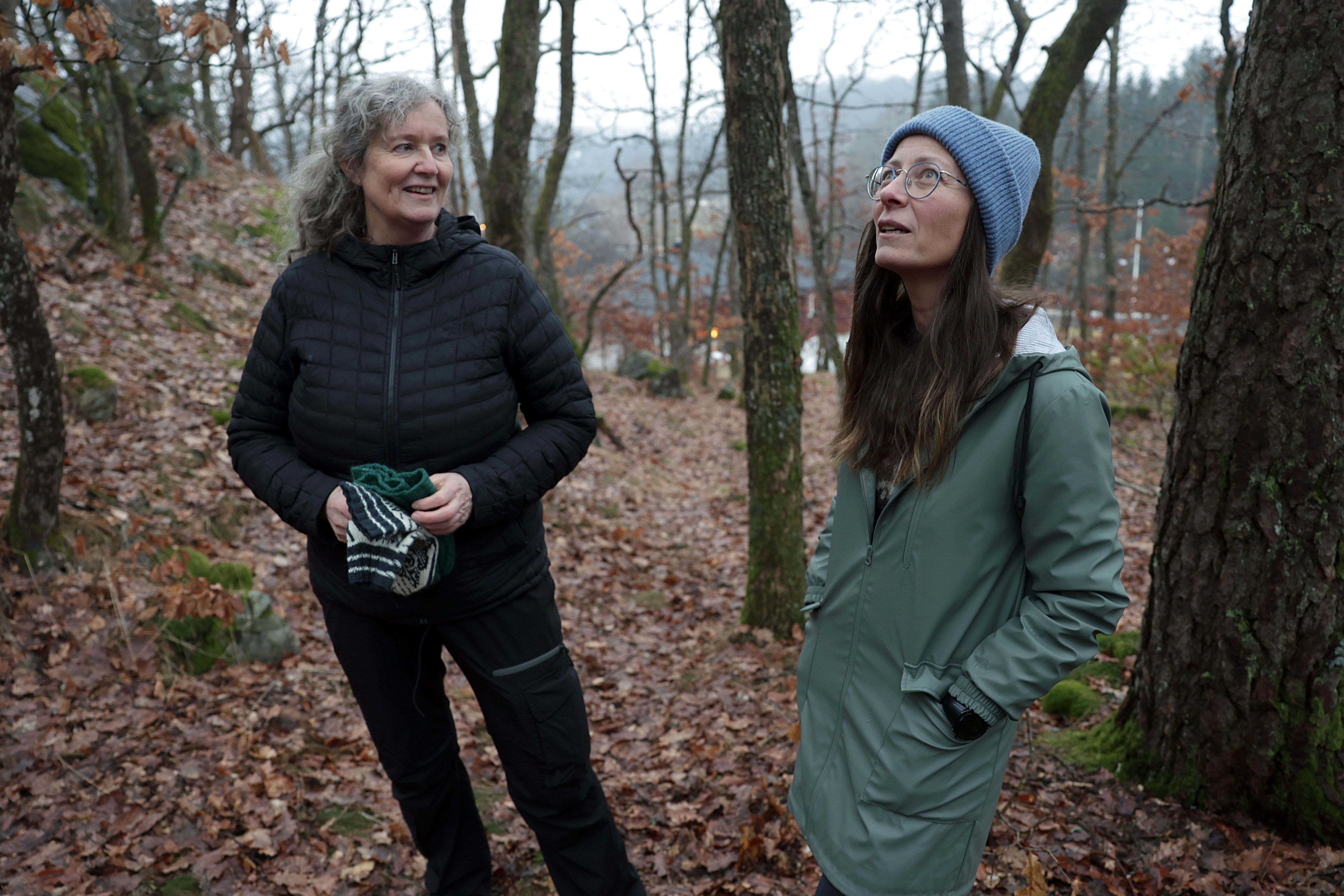 – Hele denne urørte skogen er tenkt flat­sprengt