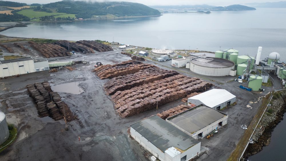 Får tømmer­tog nesten daglig: – Må belage oss på trange fylkesveier eller Sverige