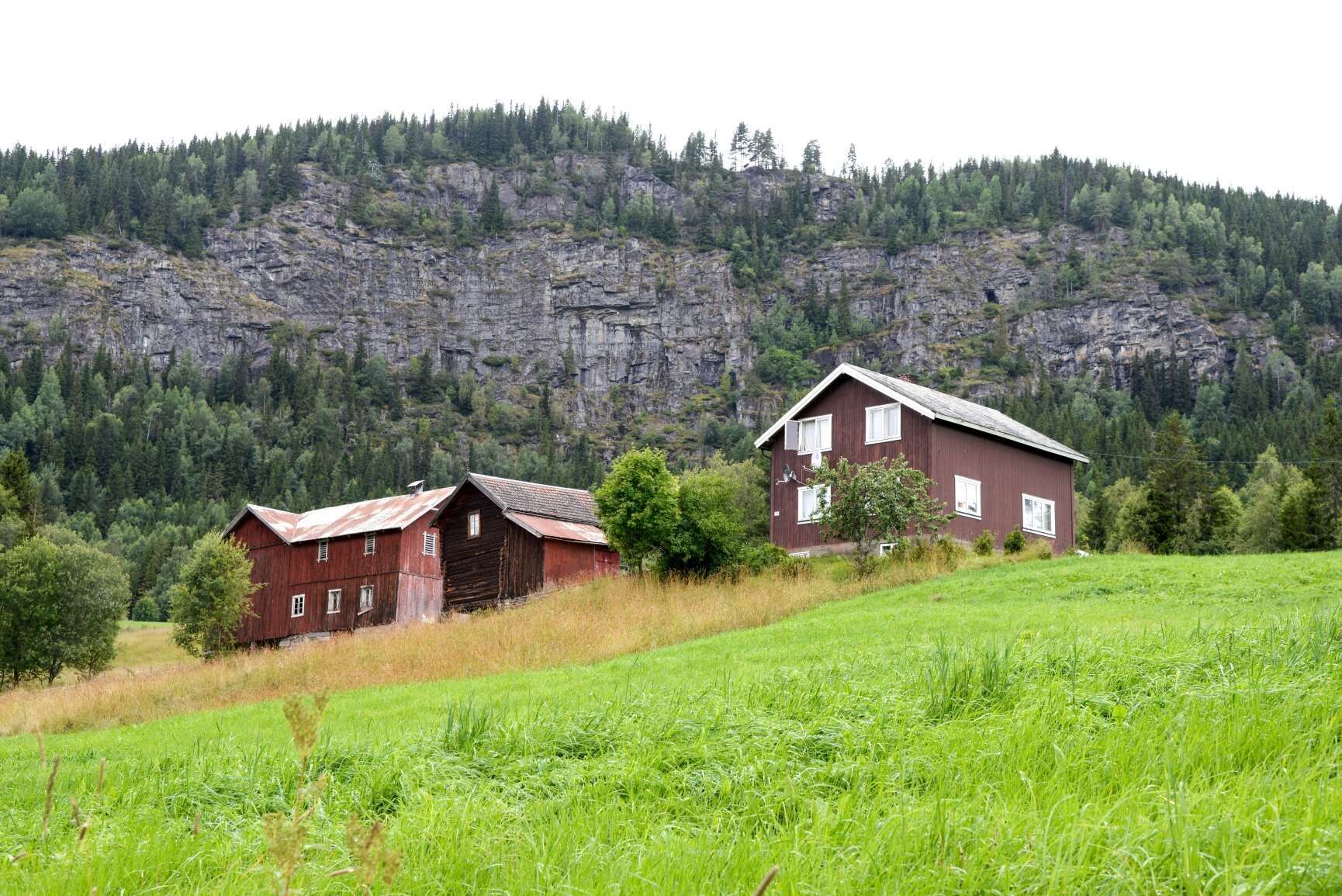 Småbruk kan bli nytt bustadområde - hallingdolen.no