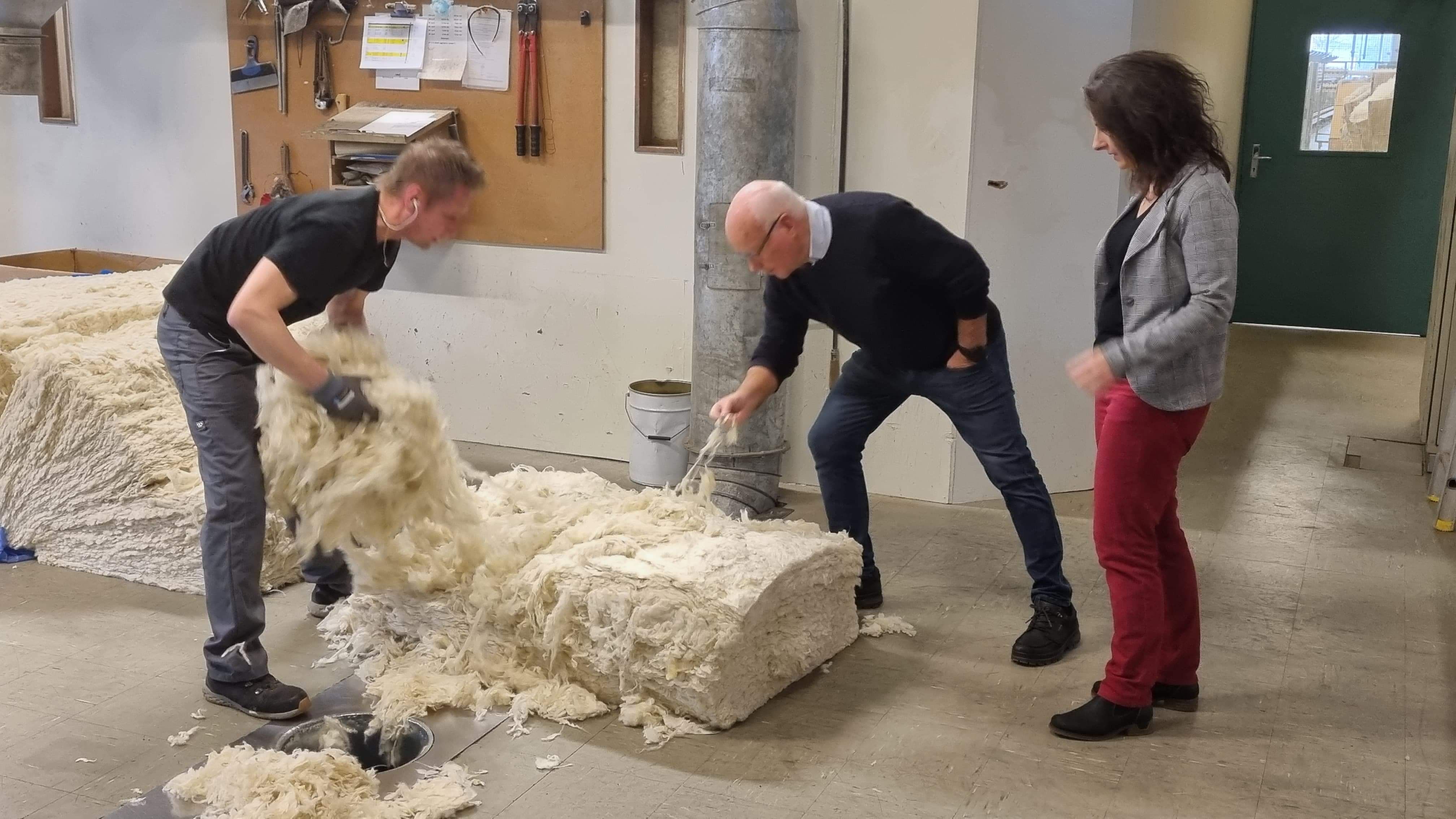 Det er ikke tilstrekkelig med norsk ull andalsnesavis.no